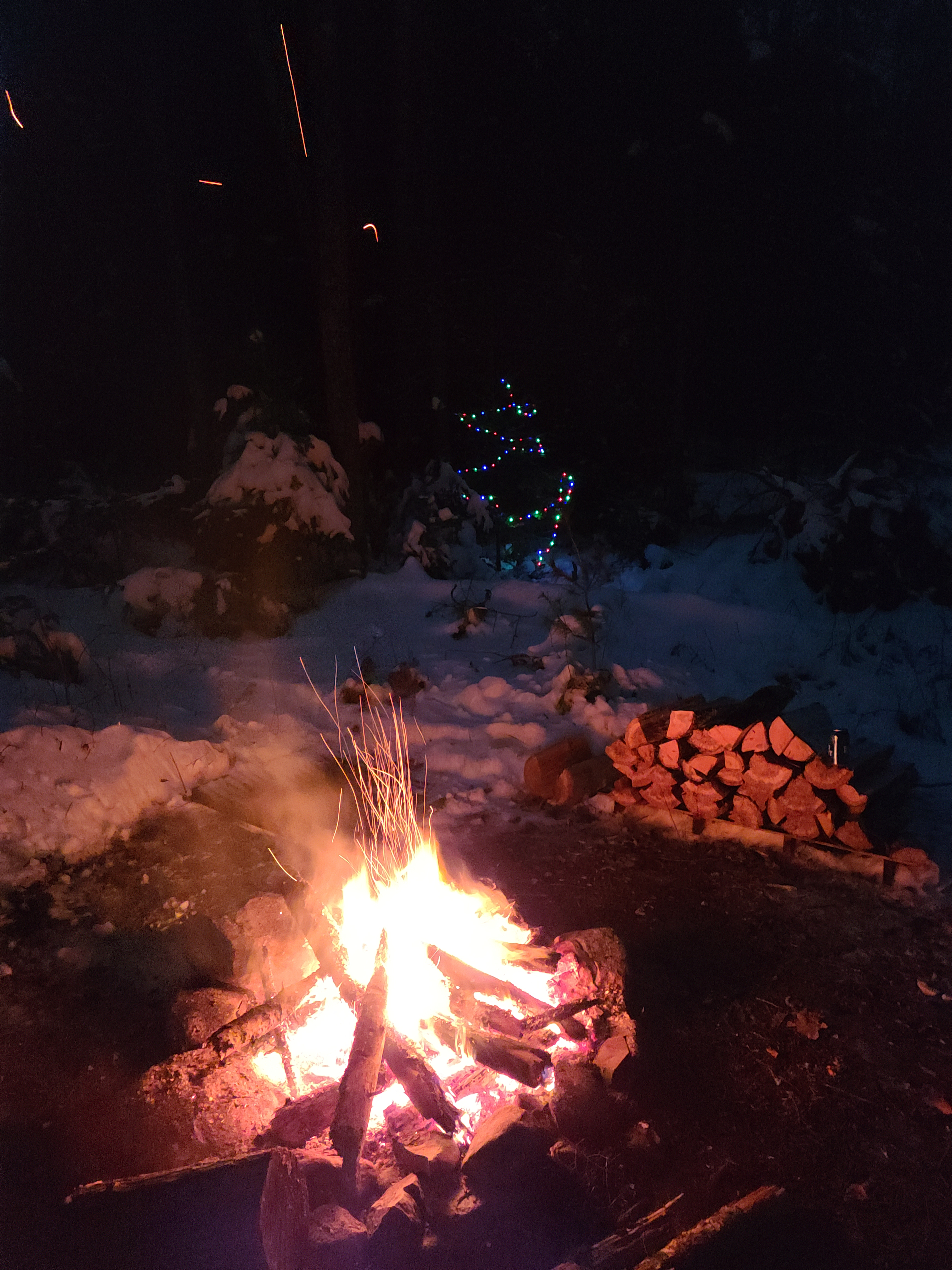 Cabin of the Woods at Tilden Pond