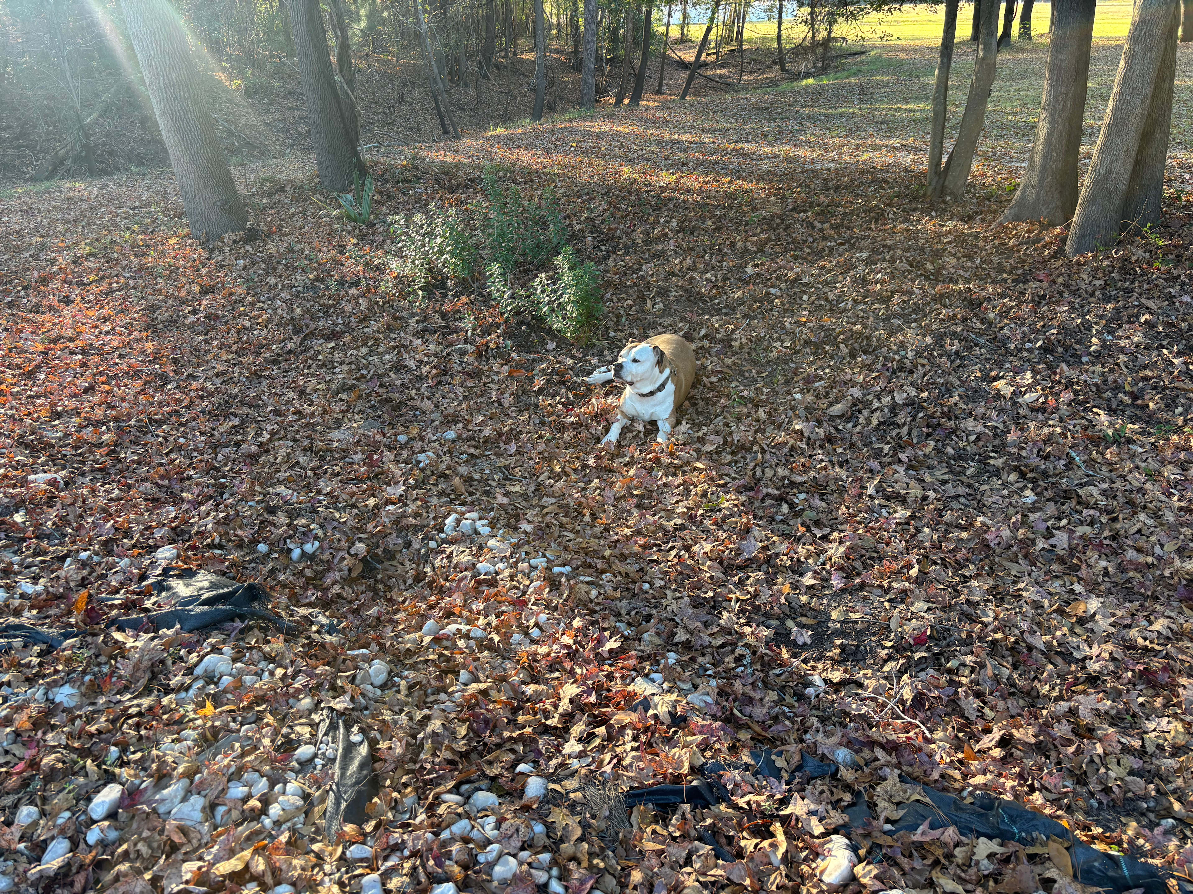 Riverbend Camp Retreat