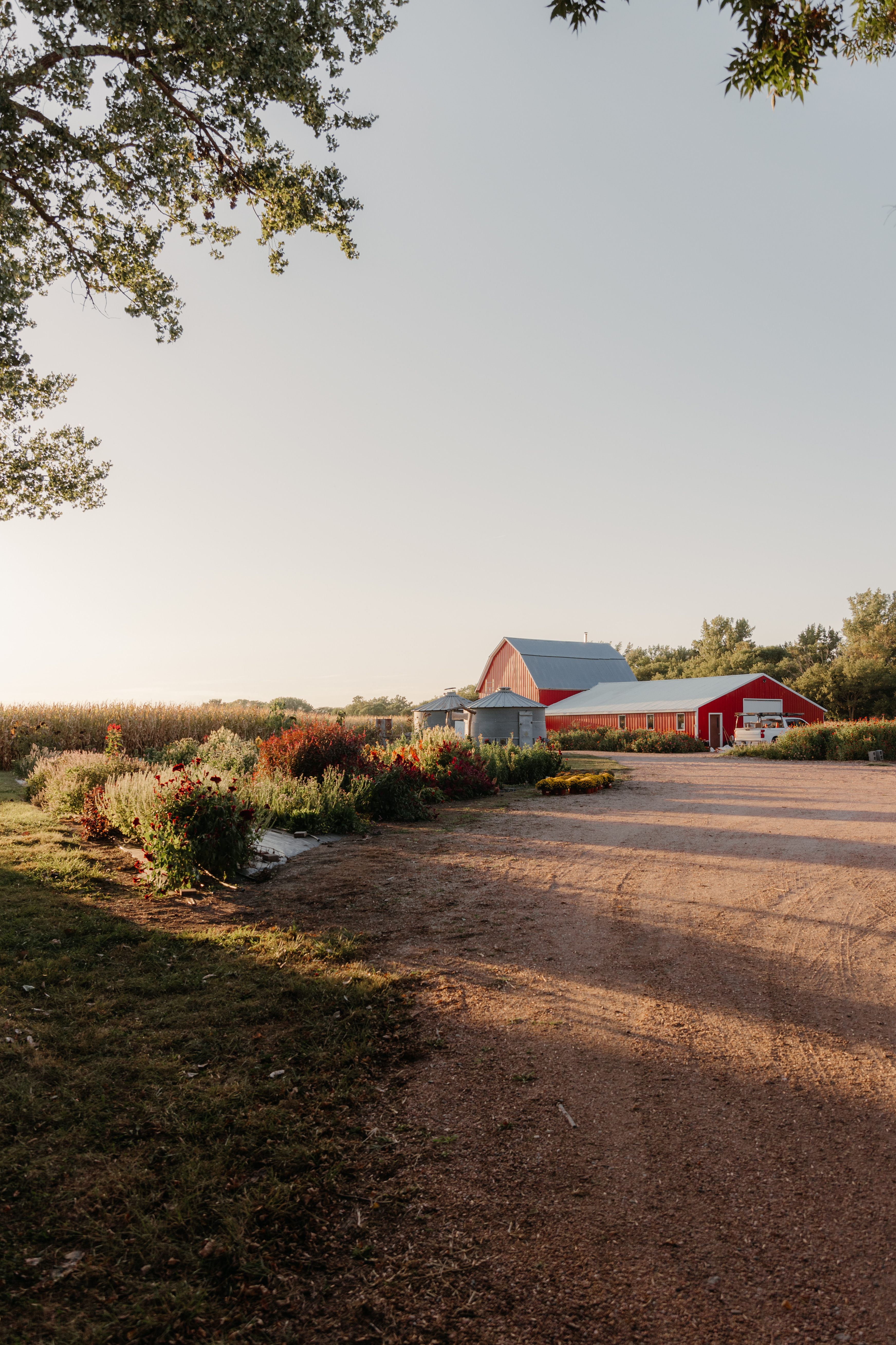 Aunt Annie's Flower Farm & Merc.