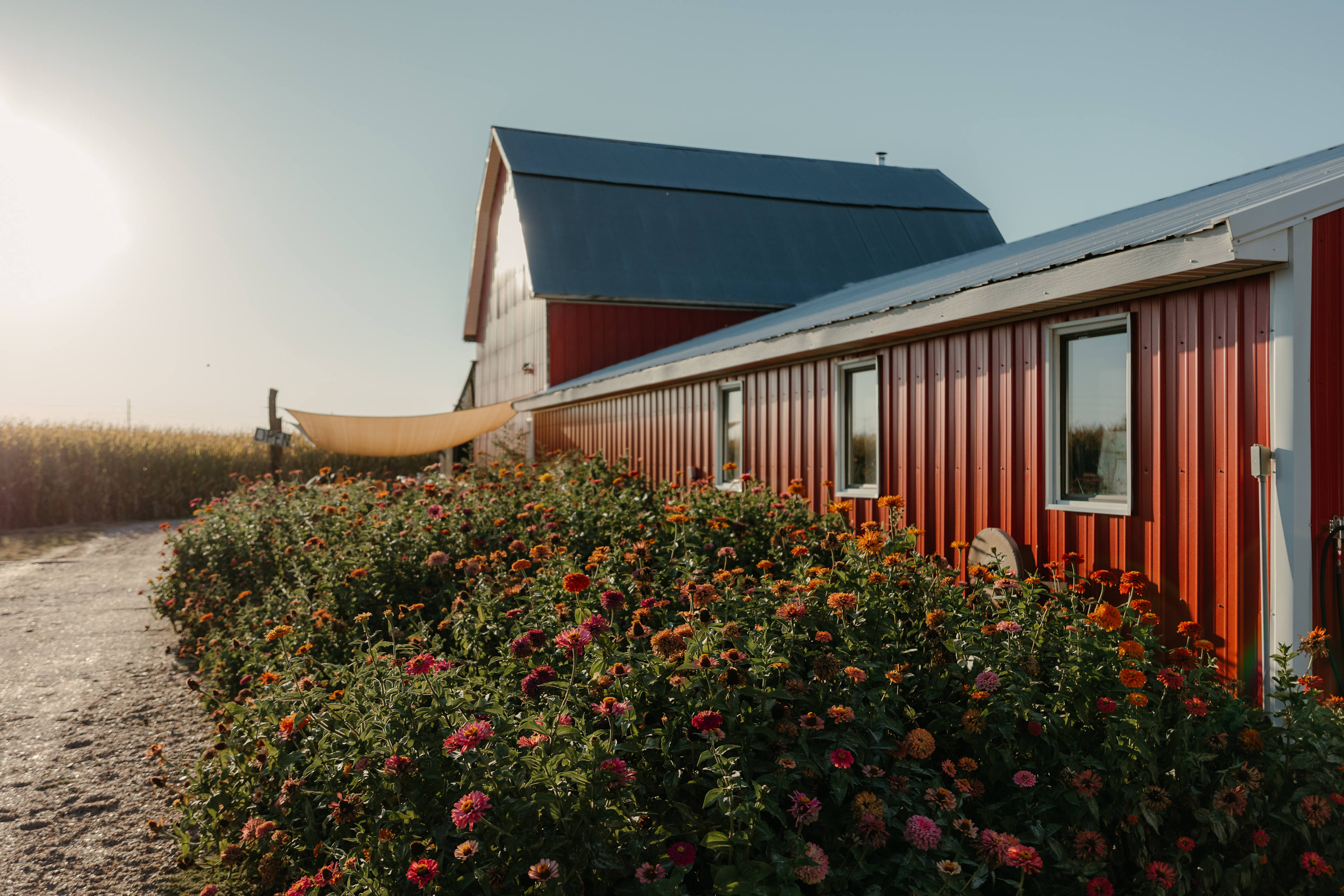 Aunt Annie's Flower Farm & Merc.