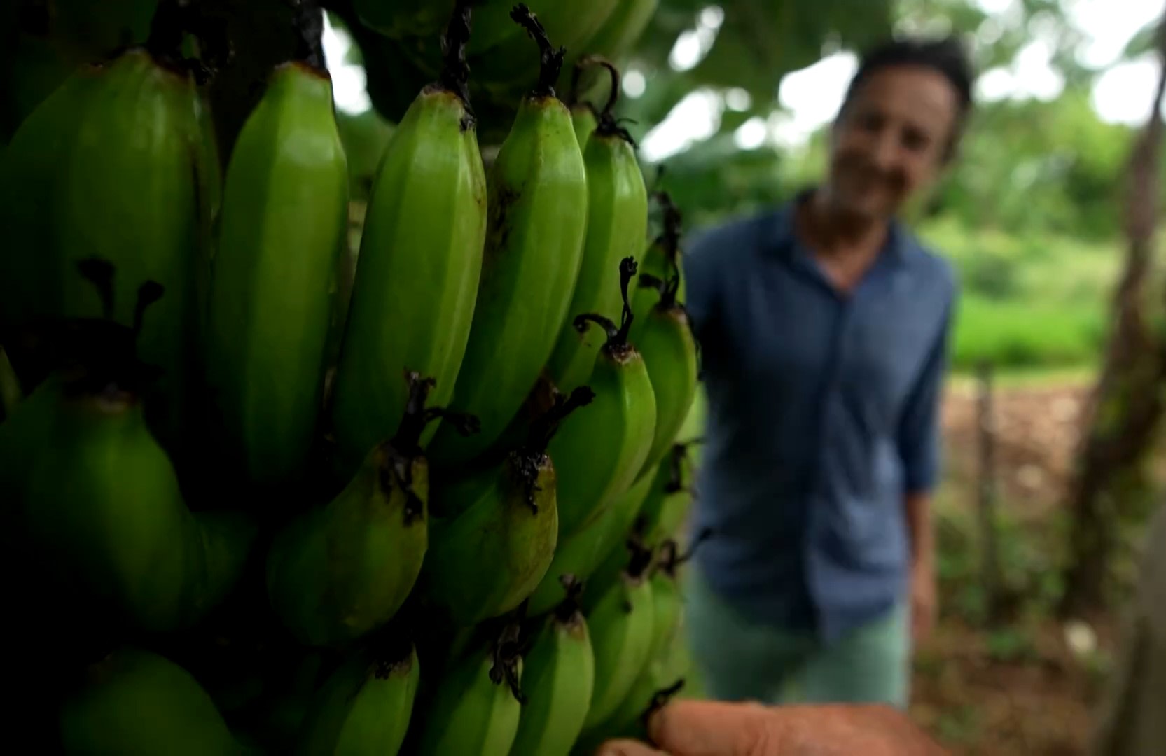 High Valley Dawn Farmstay Camping