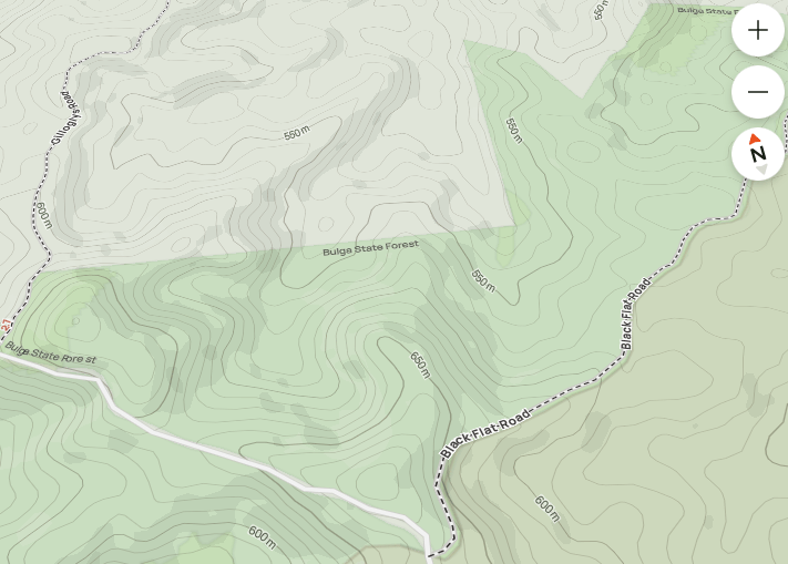 Off-Grid Camping in the Forest