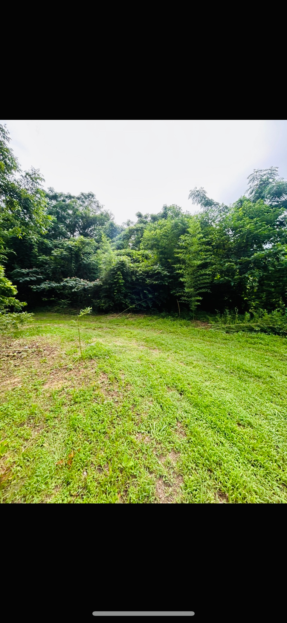 Sacred Canopy Private Campsite
