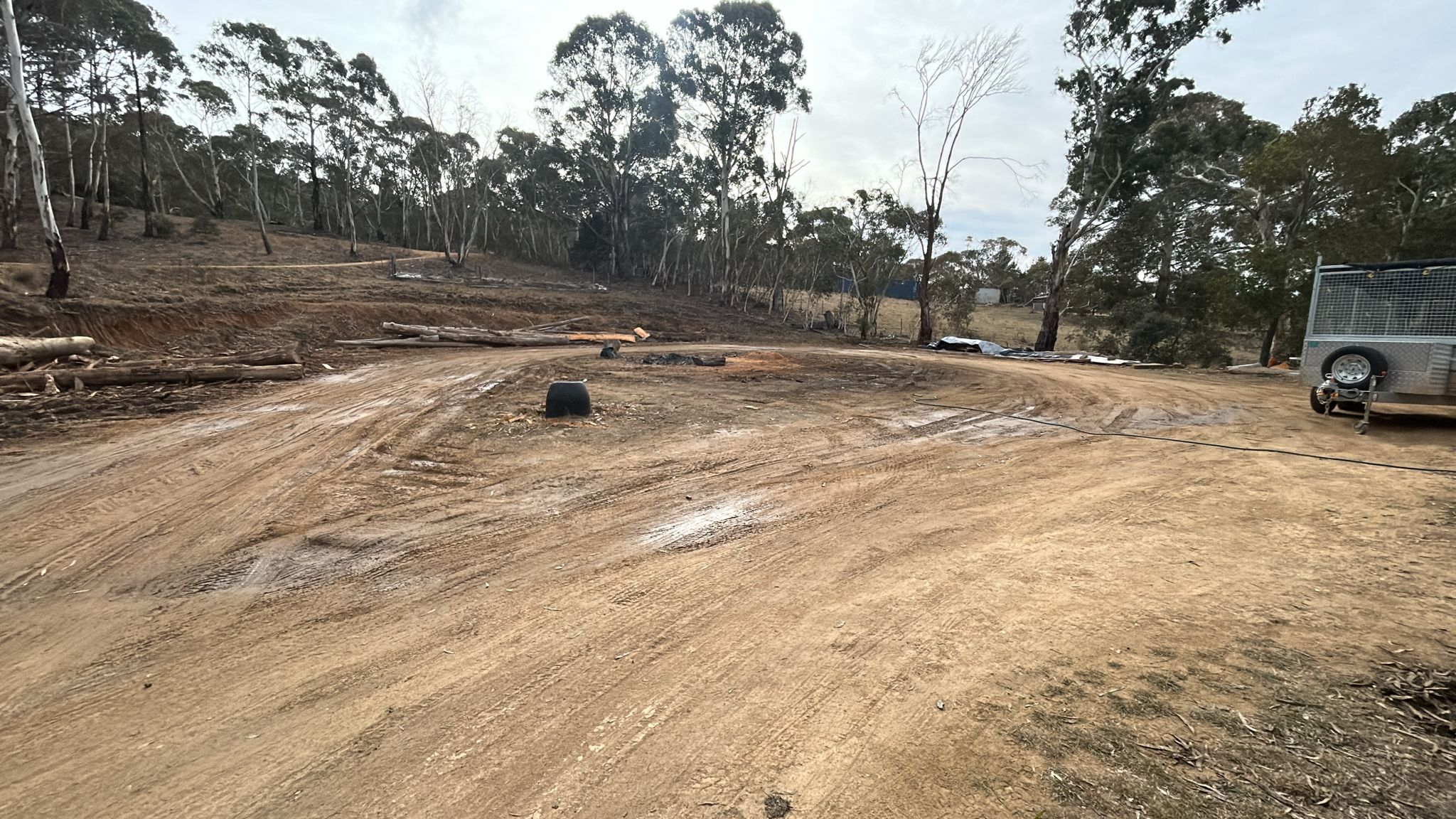 Alpine Bushland Camp