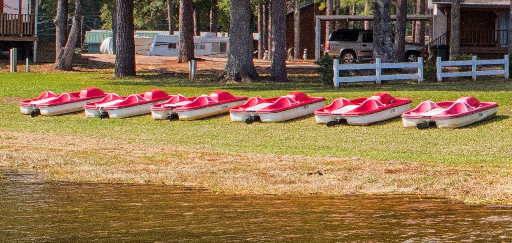 Sandals And Spurs Resorts