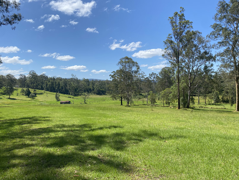 The Good Life Camping