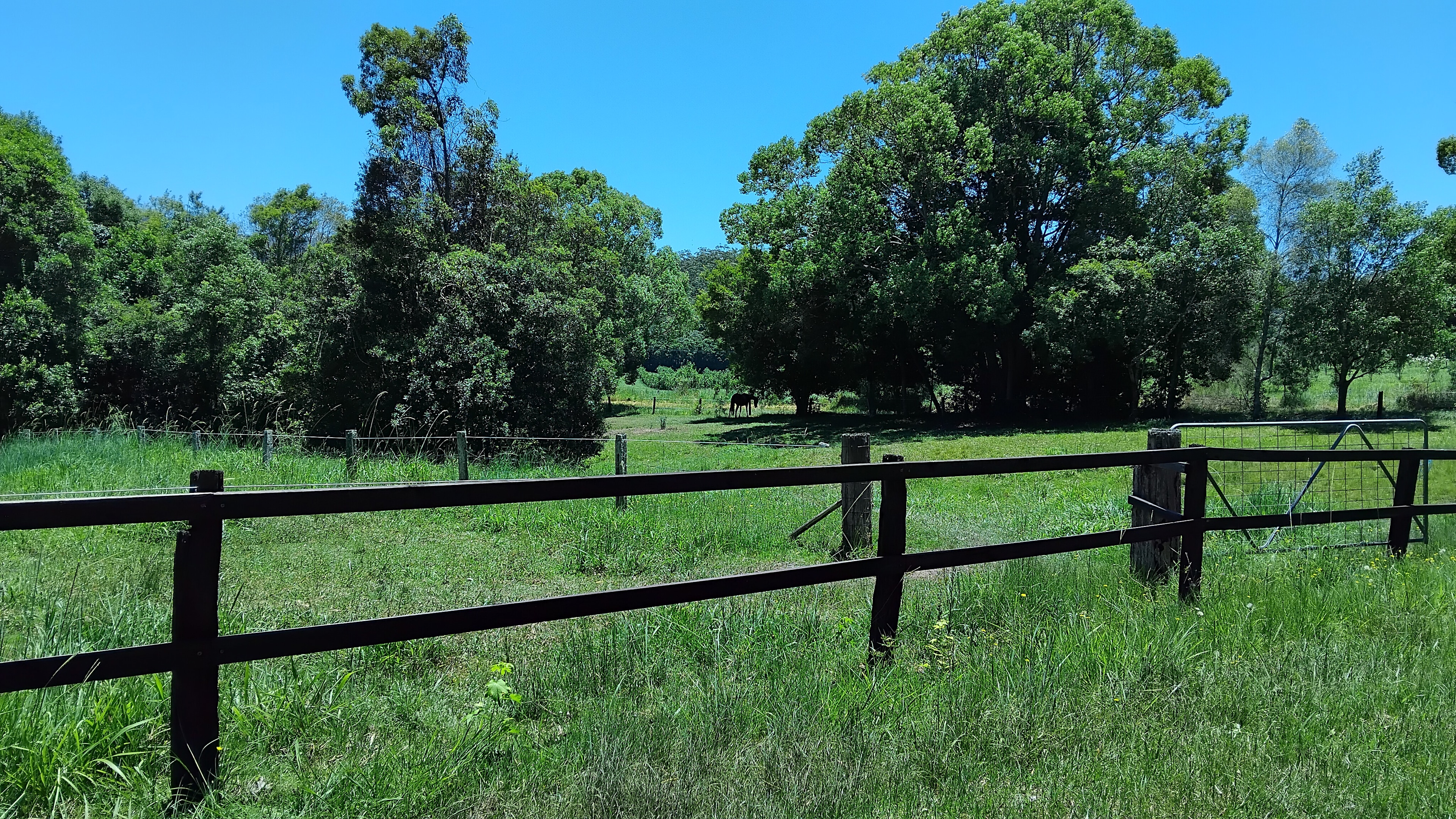 Valery Horse Camp Mid North Coast