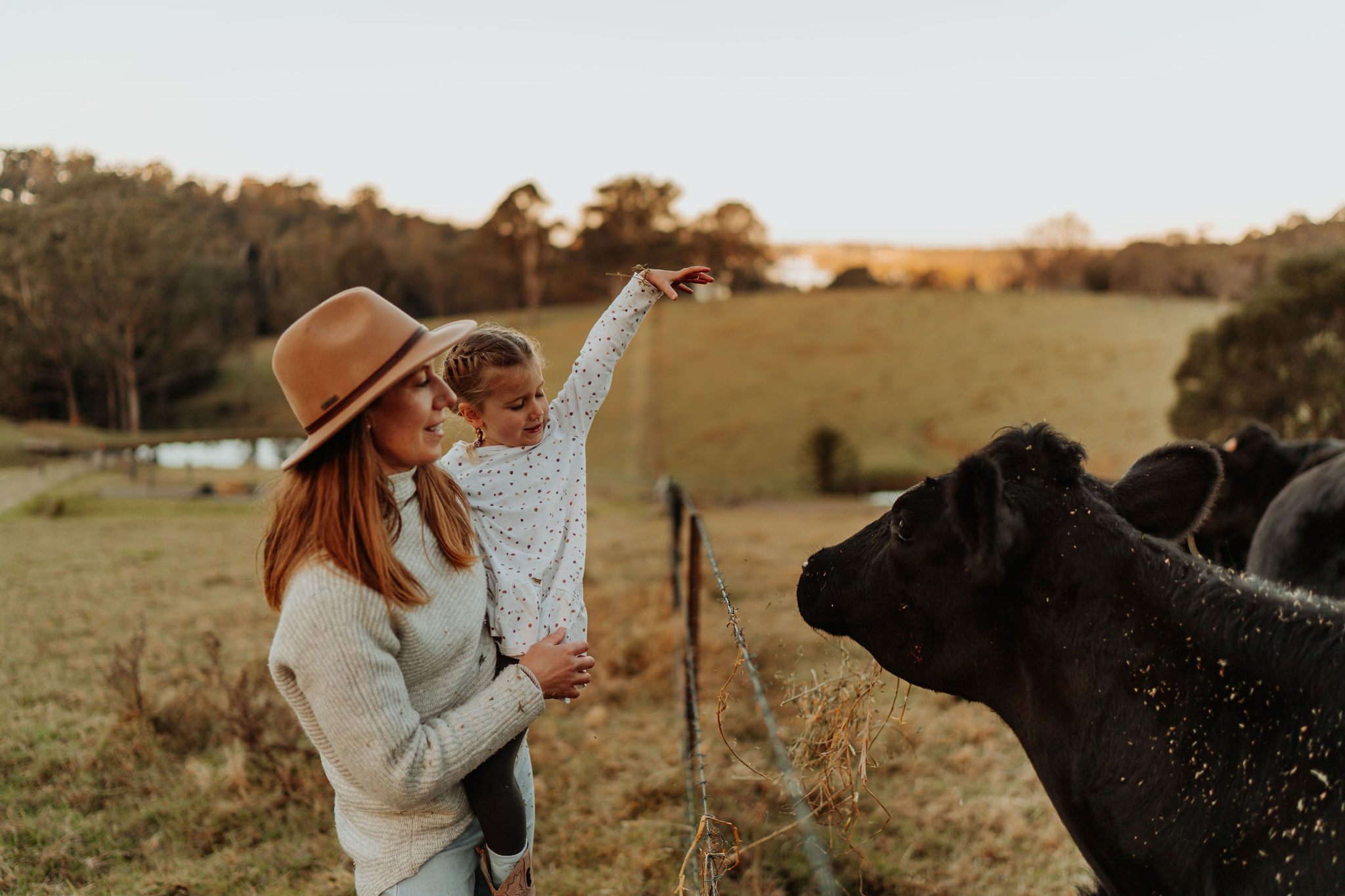Anchorage Farm Narooma