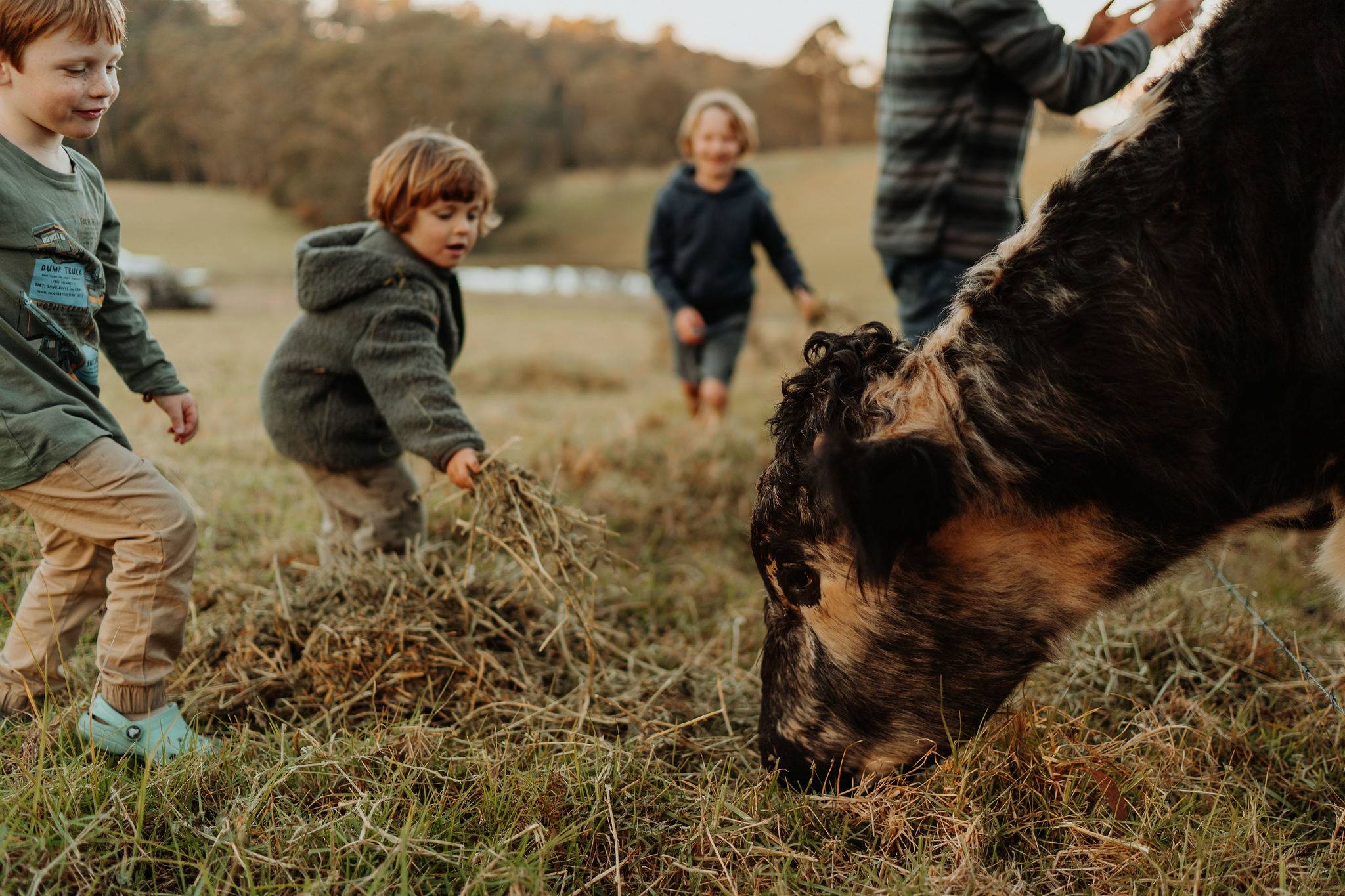 Anchorage Farm Narooma