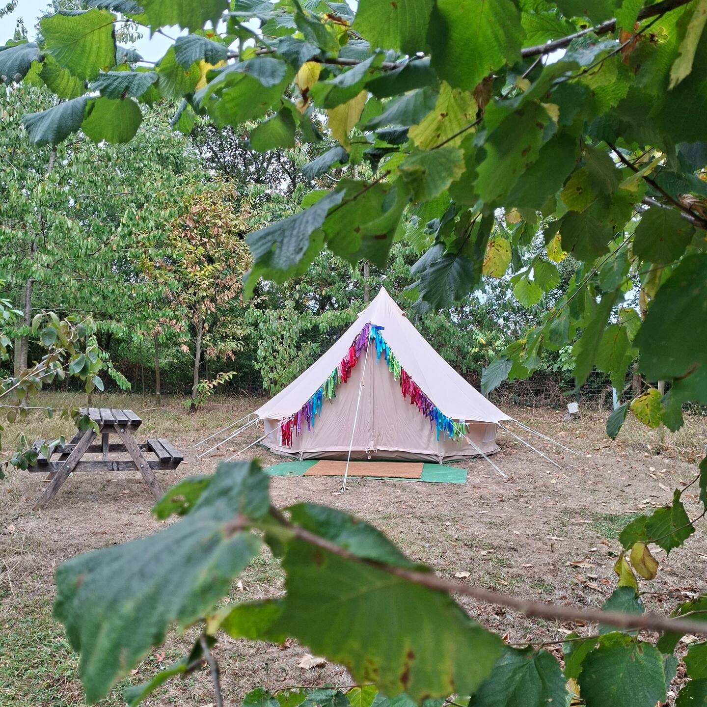 Manor Farm Cottage Bell Tent