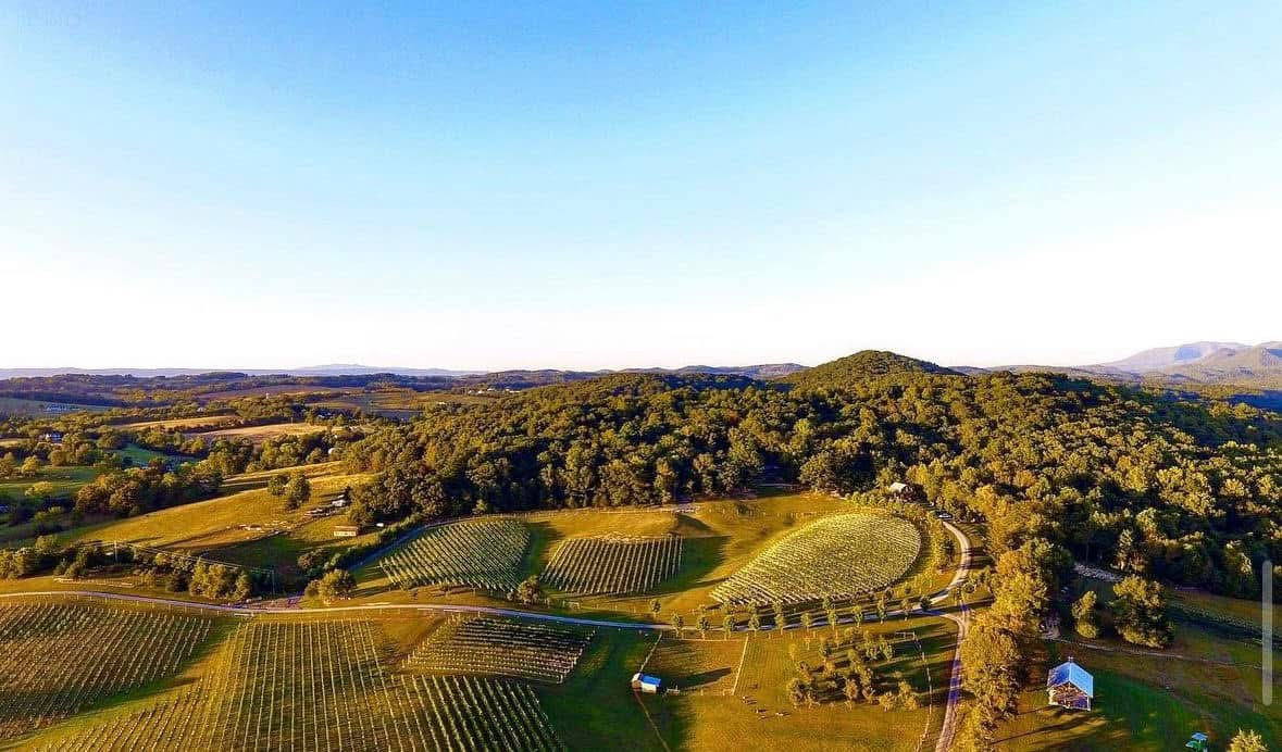 Camping at the Vineyard