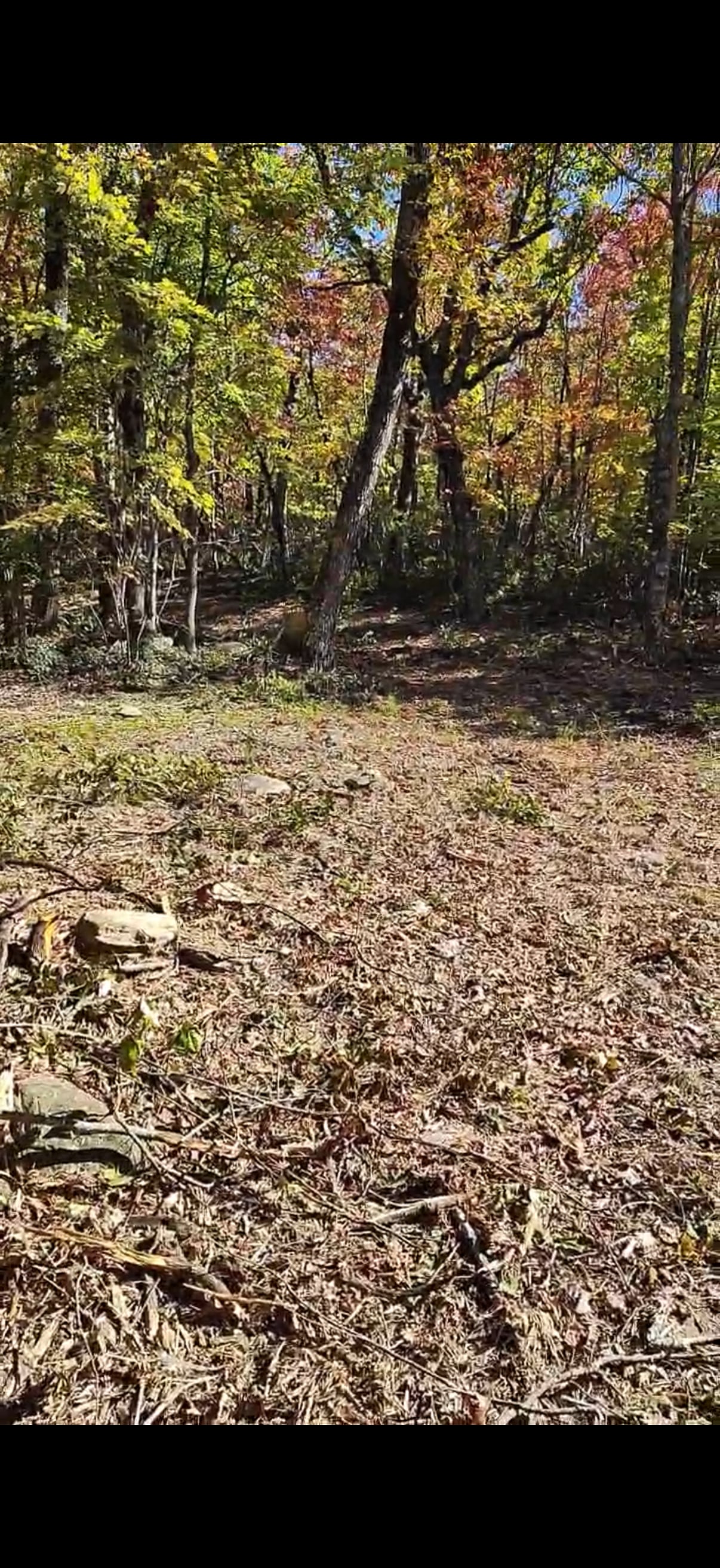 Moore’s Wall Basecamp