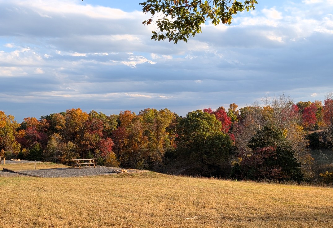 Grassy Road Cabins and RV Camping