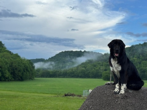 Spirit Valley, private horse farm