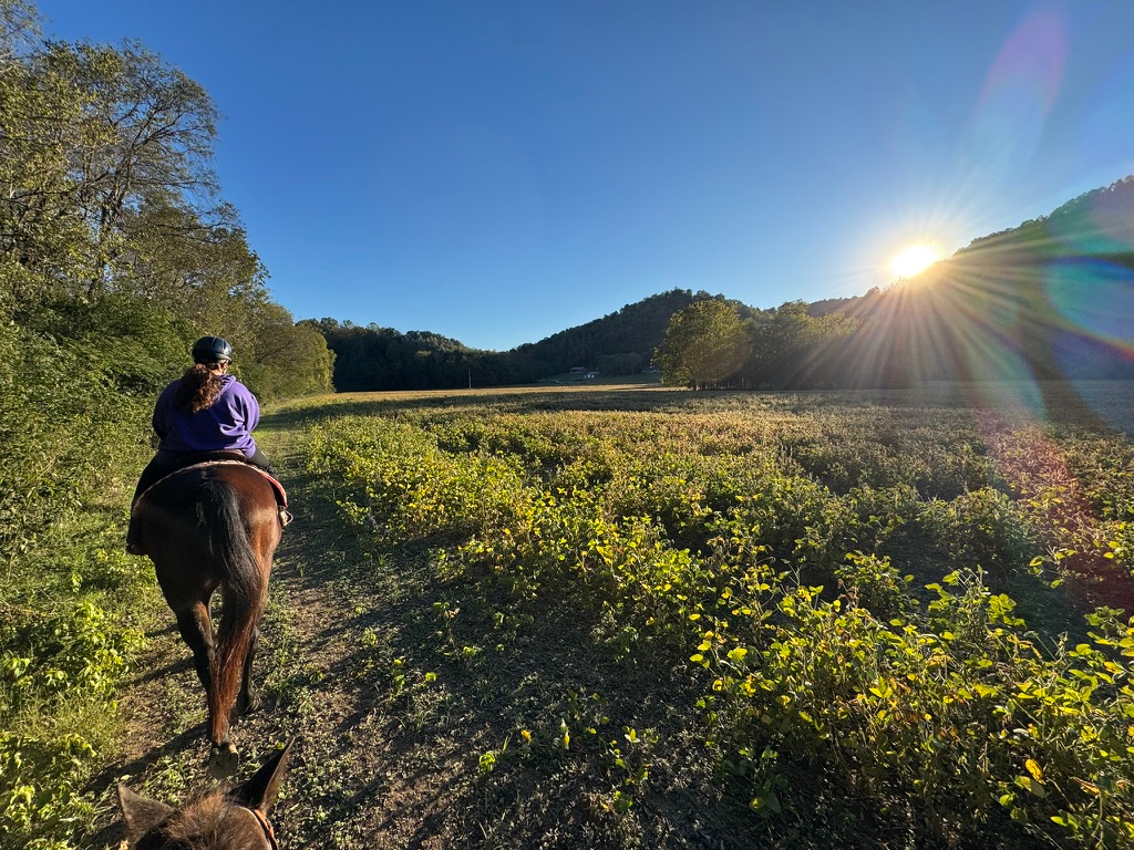 Spirit Valley, private horse farm