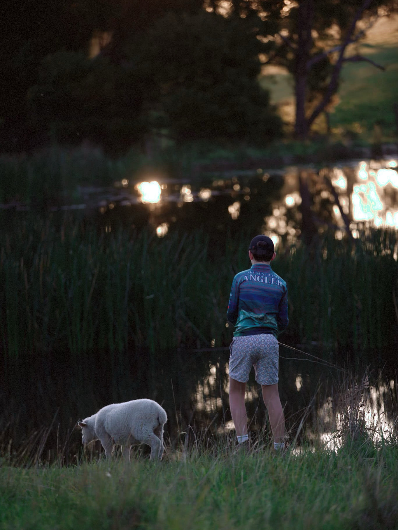 Harvest Log Cabin - Farm Stay