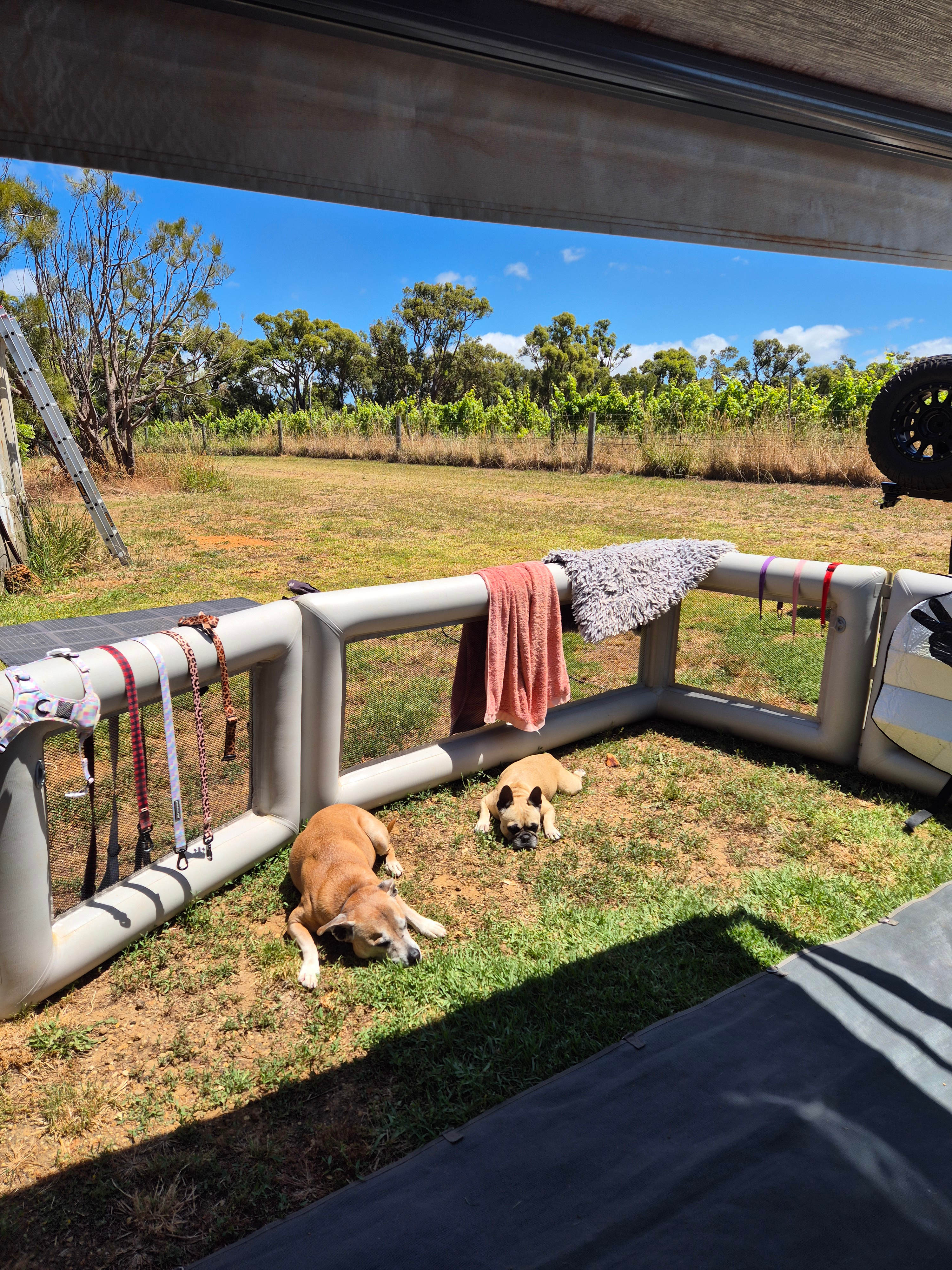 Phillips Brook Estate