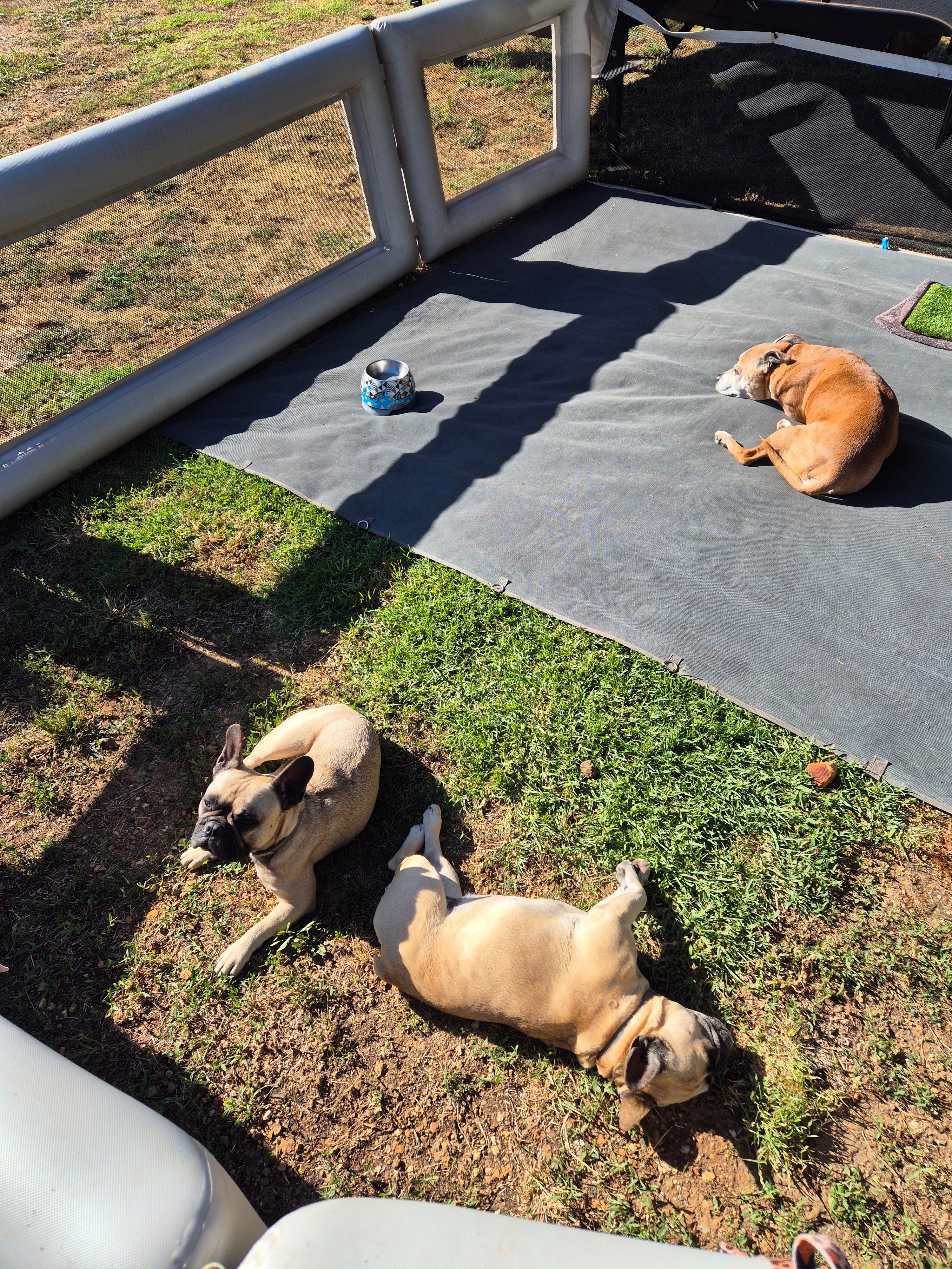 Phillips Brook Estate