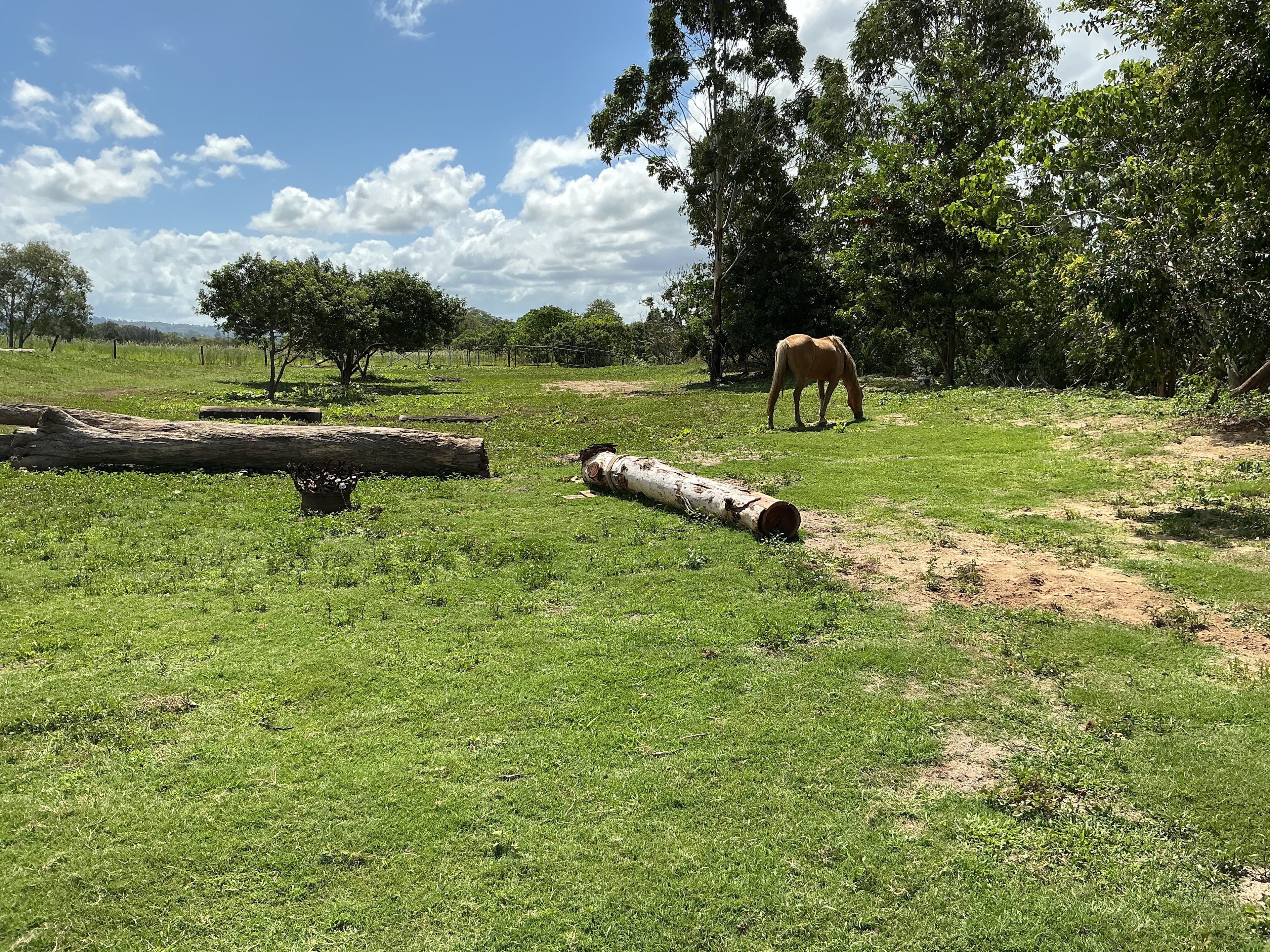 The common area with log seating and horseshoe fire pit with Campsite 2, Creekside behind it. 