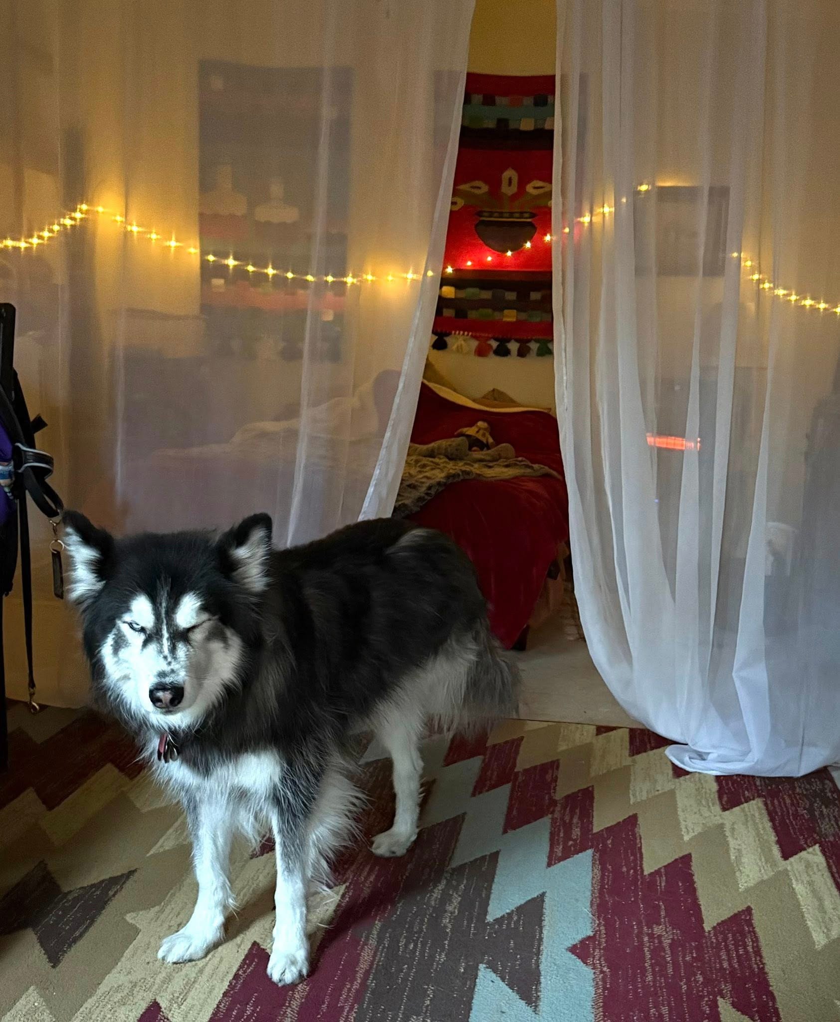 Casita on Sapillo Creek Escape