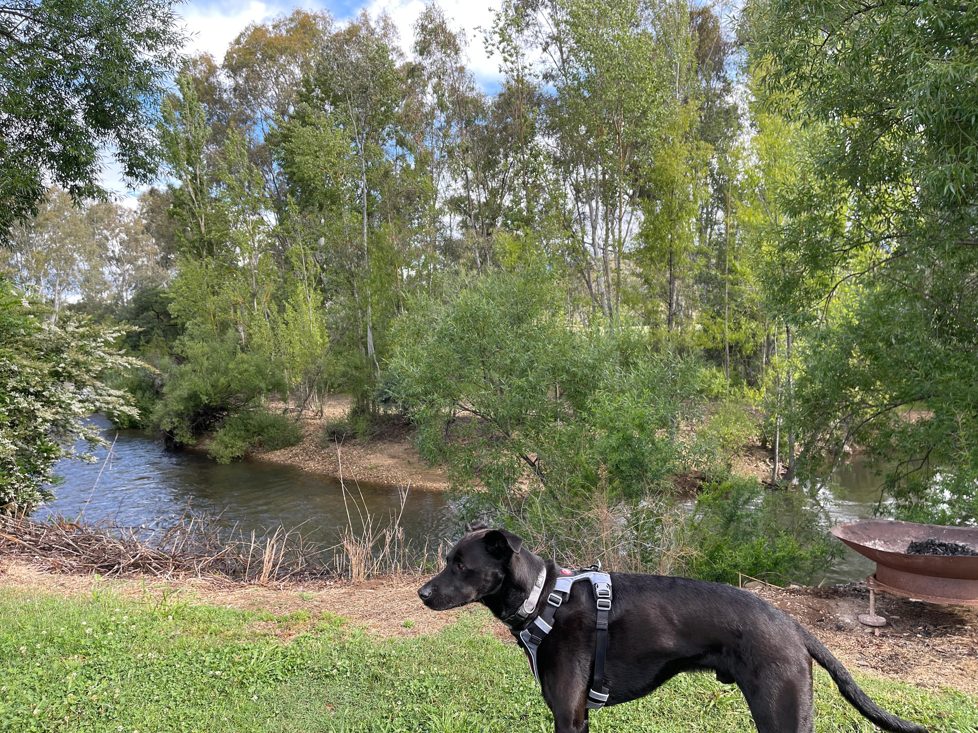 Myrtle Beech Campground
