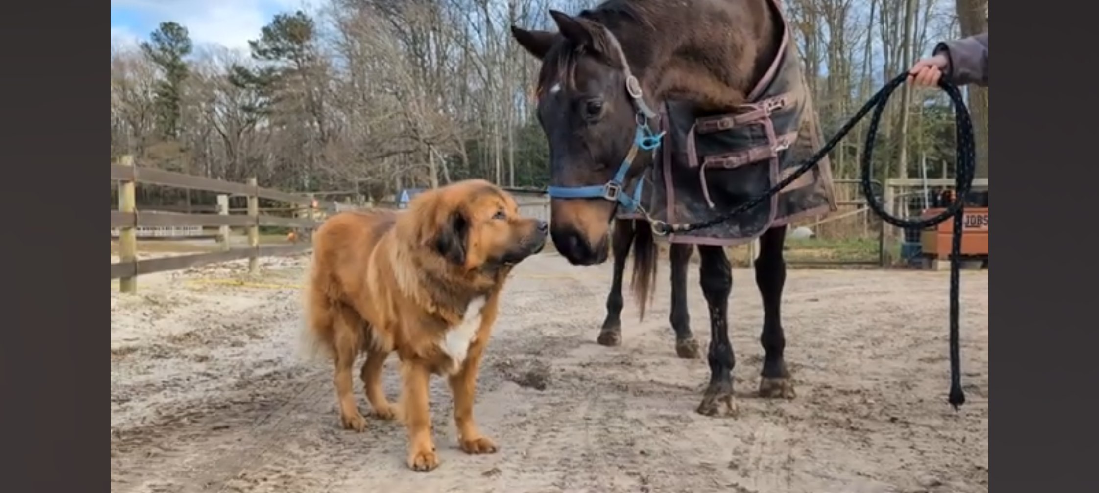 Private camp on horse farm