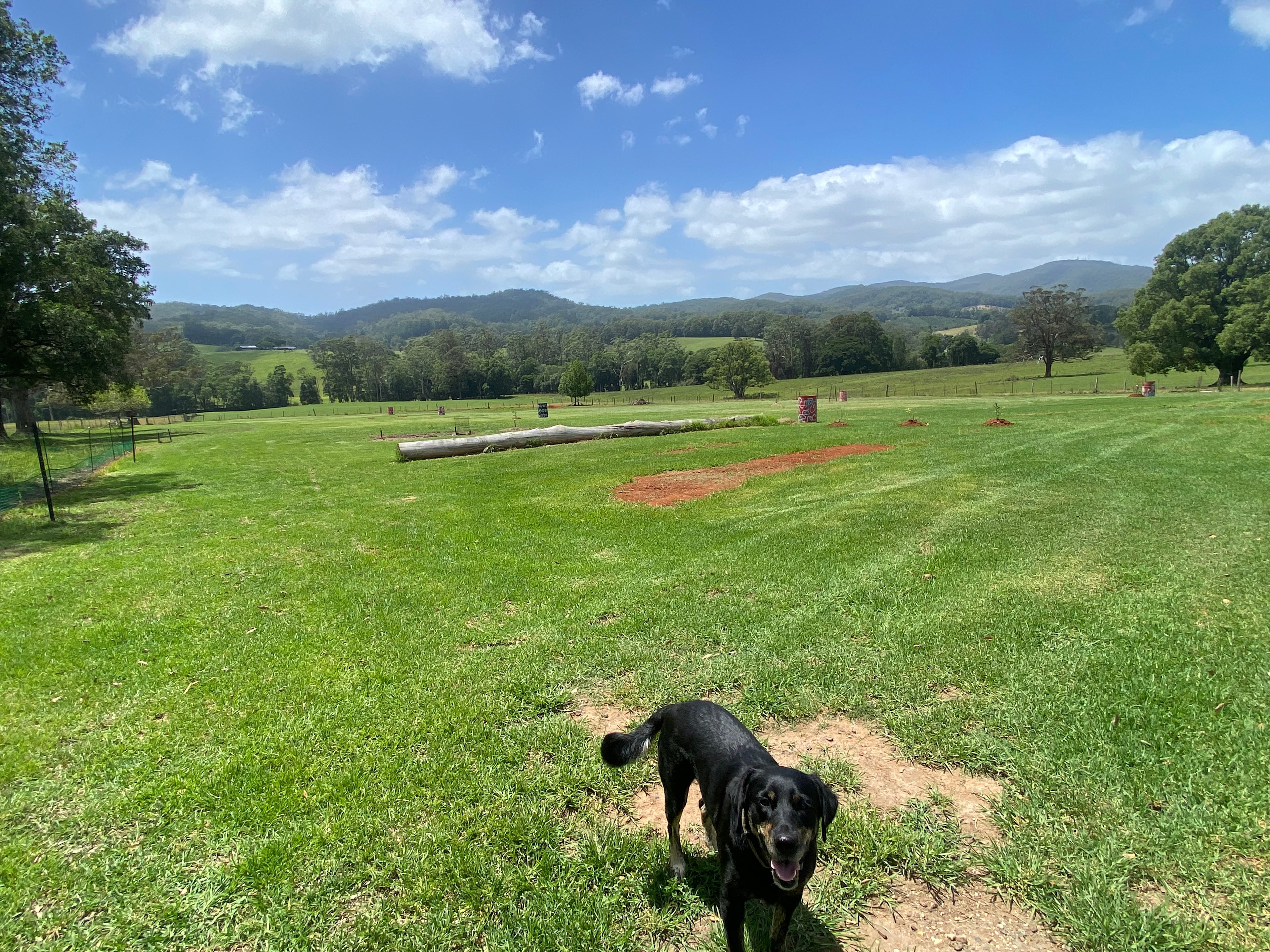 Traveler's Rest Campsite