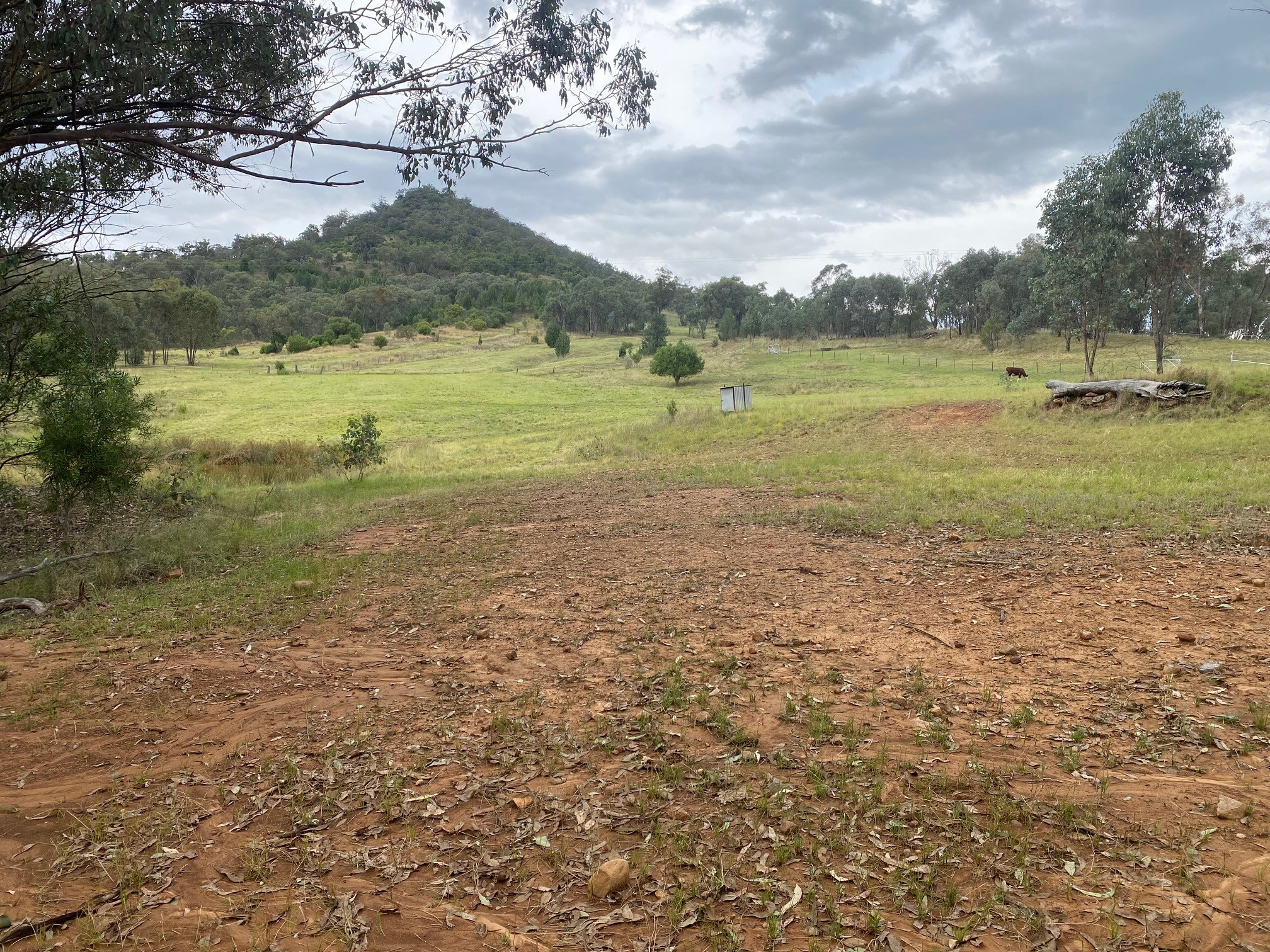 looking up the mountain