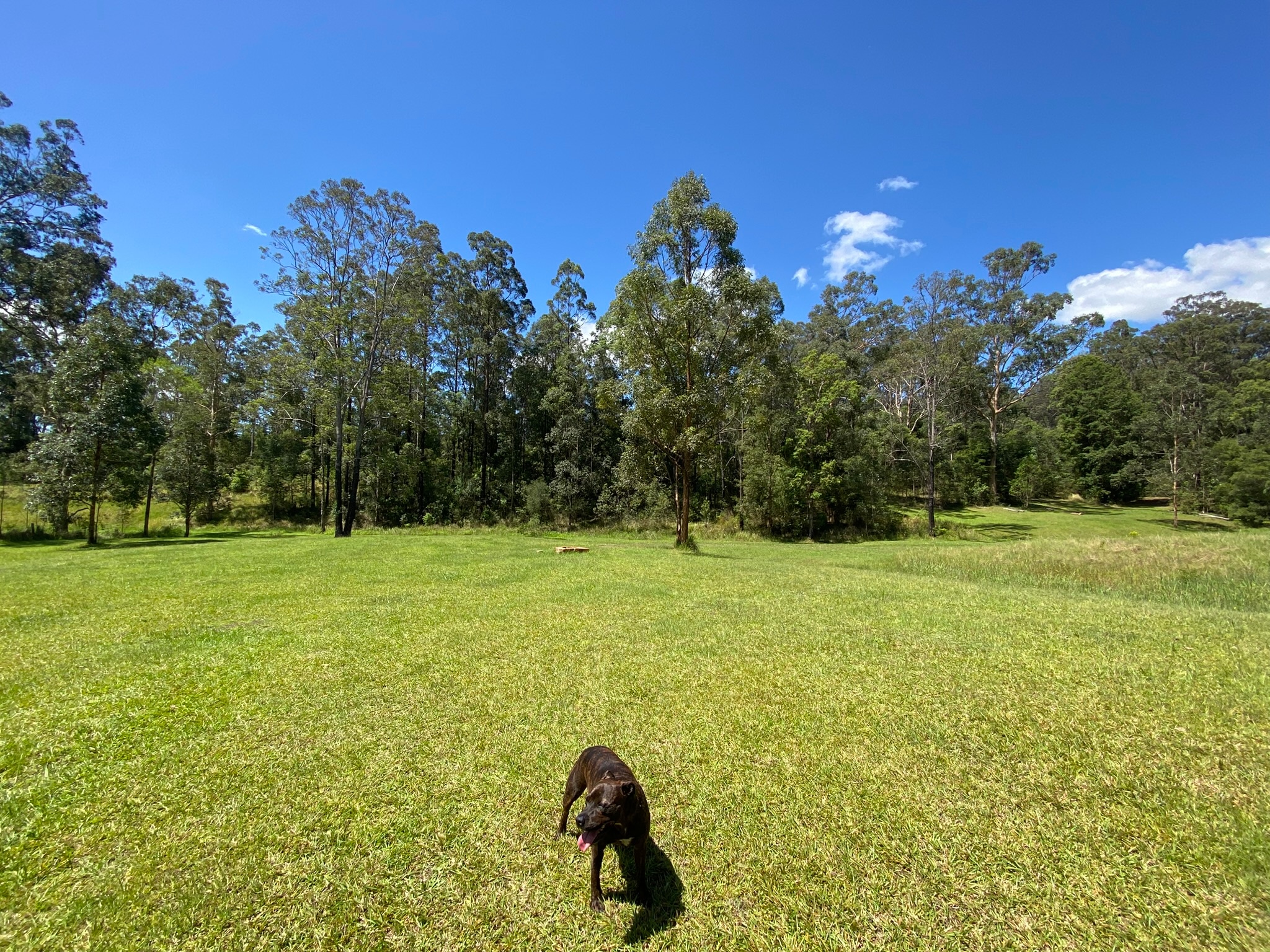 The Good Life Camping