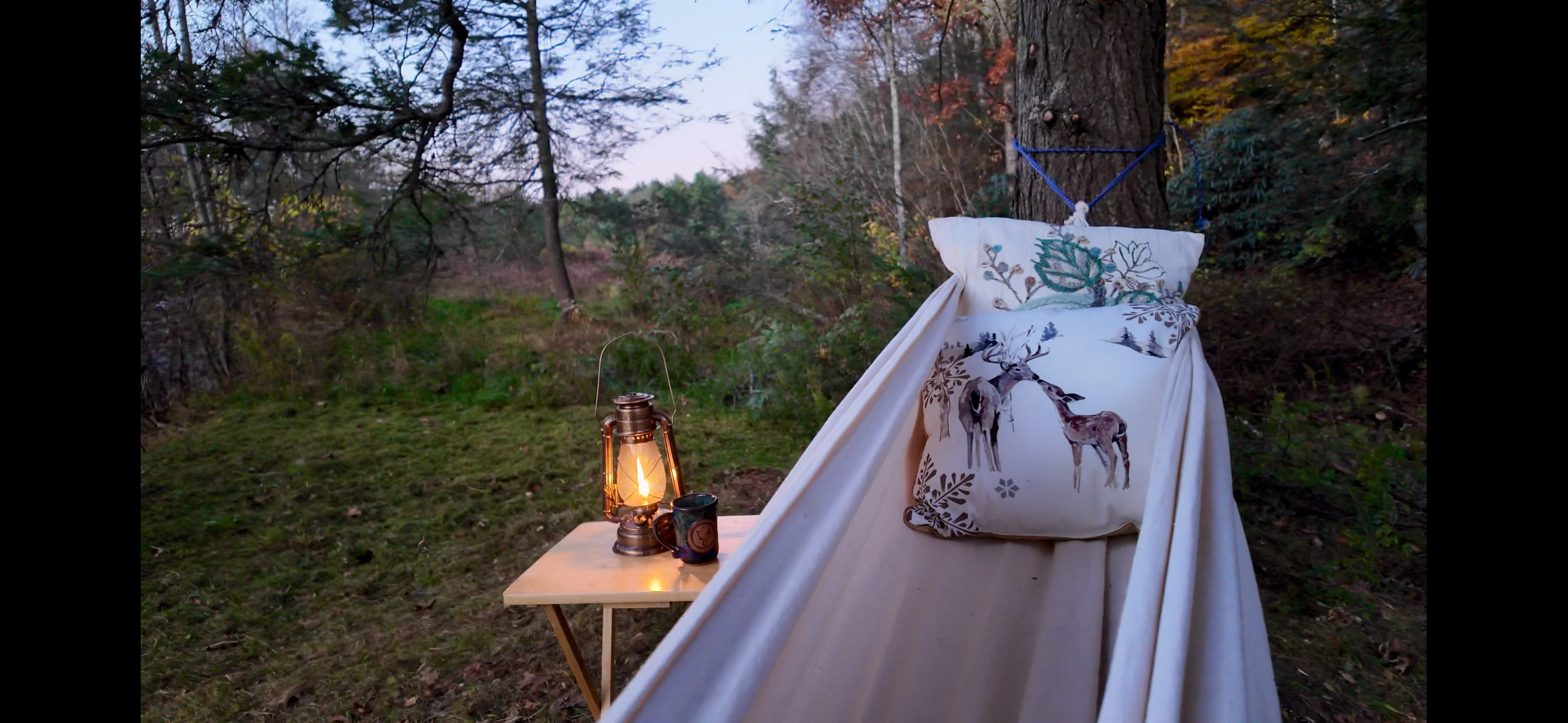 Homestead Overland Virginia