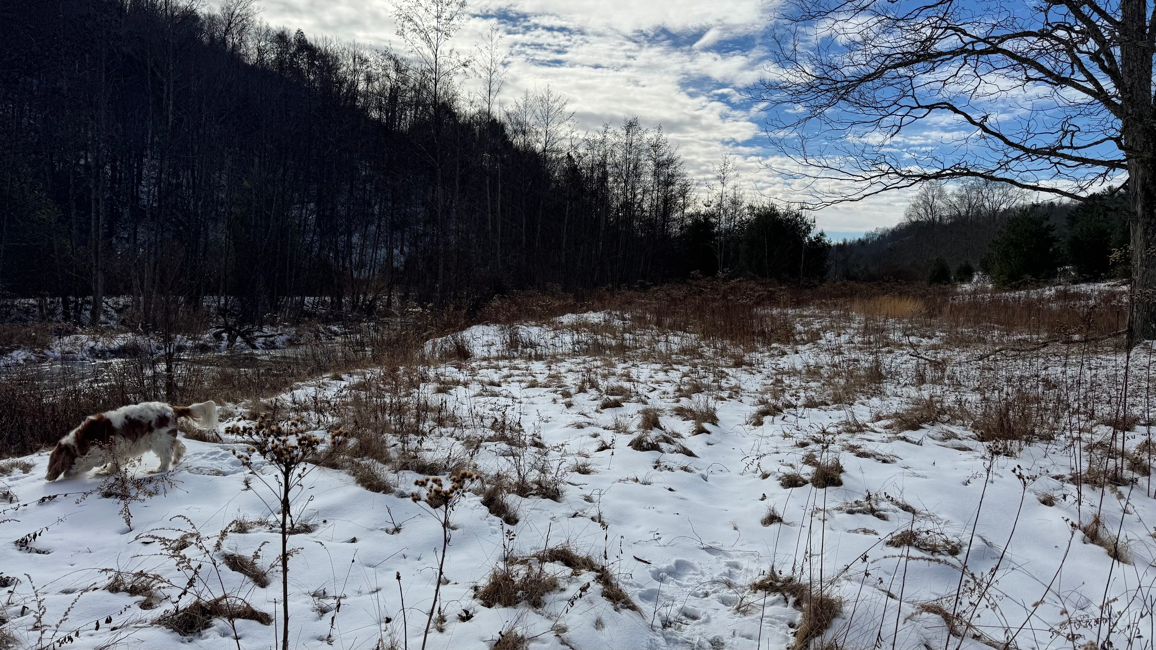 Homestead Overland Virginia