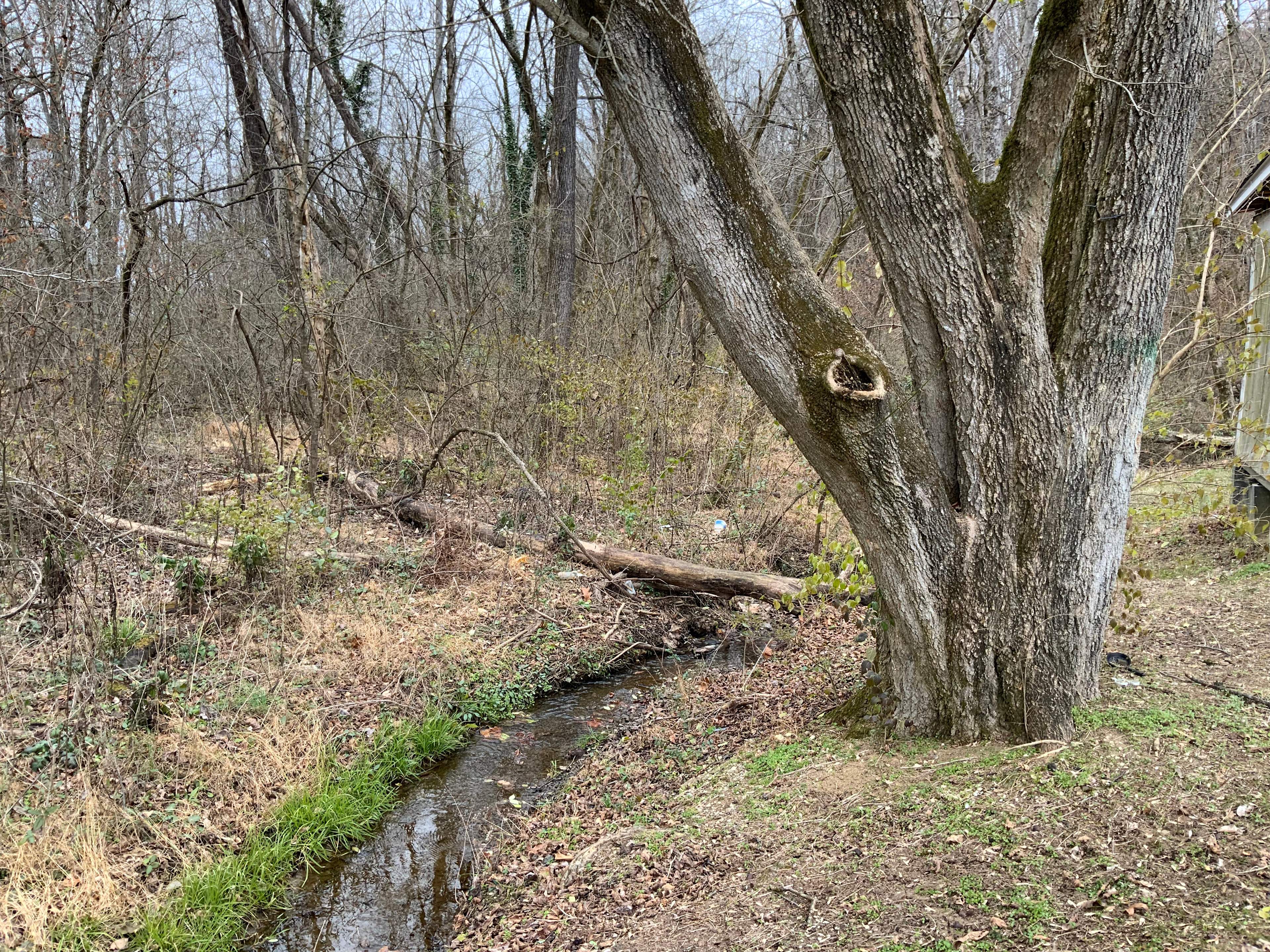 Two Rivers at Keylon