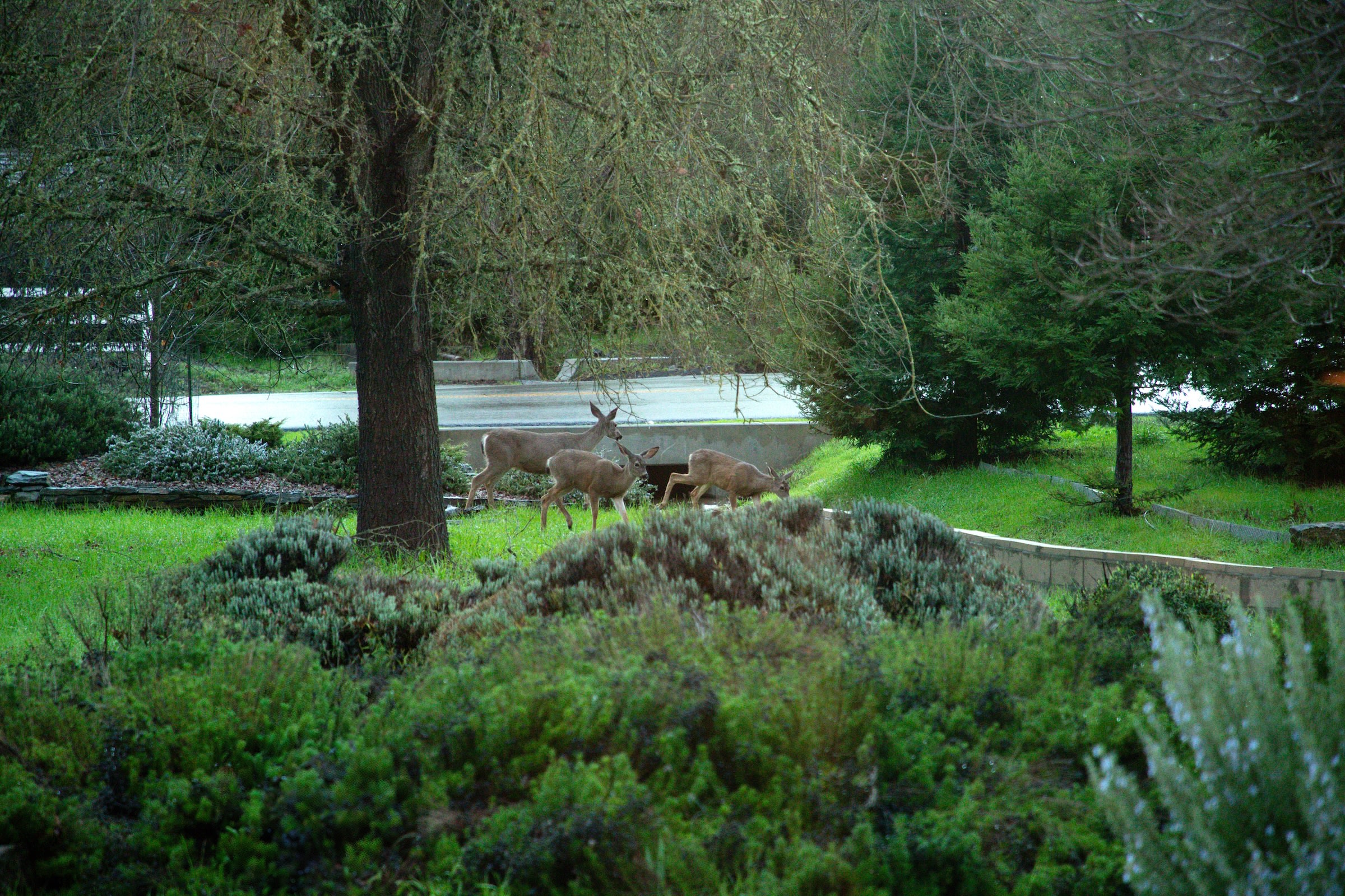 Chateau Vigne Boondocks + RV sites