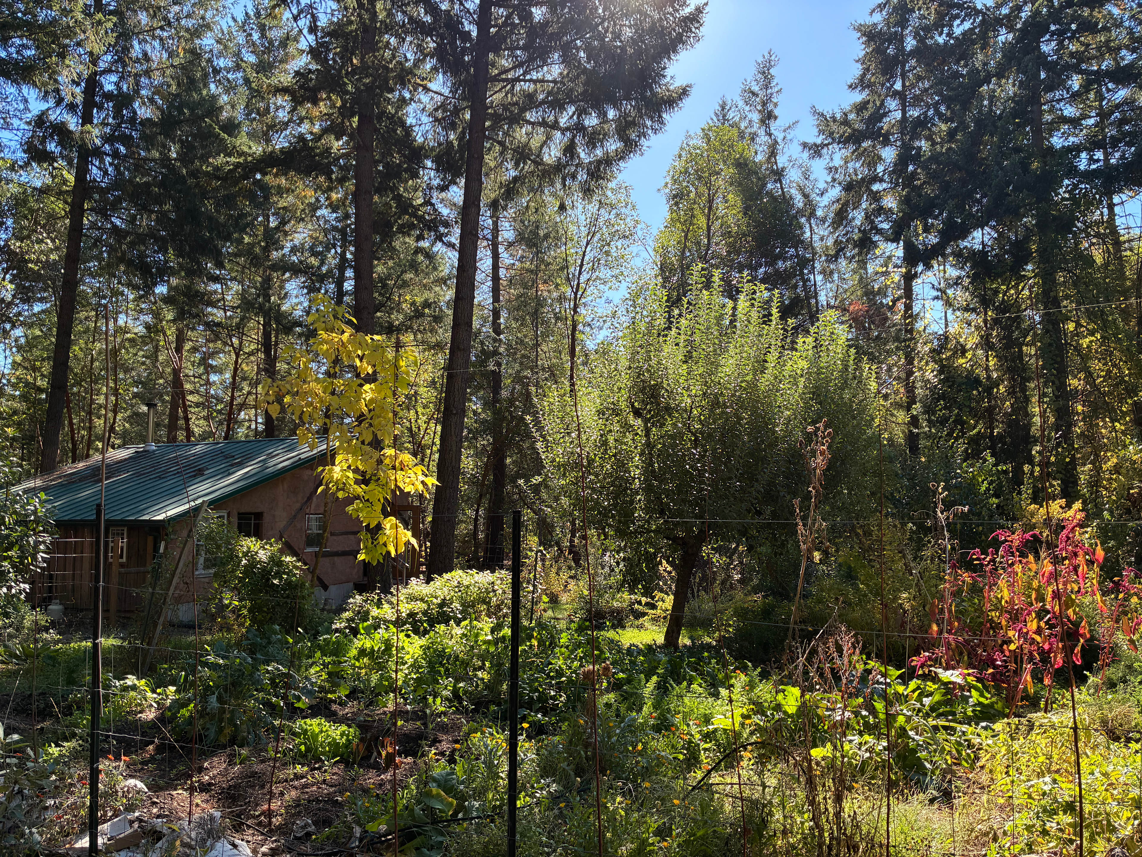 Straw Bale Artist Studio