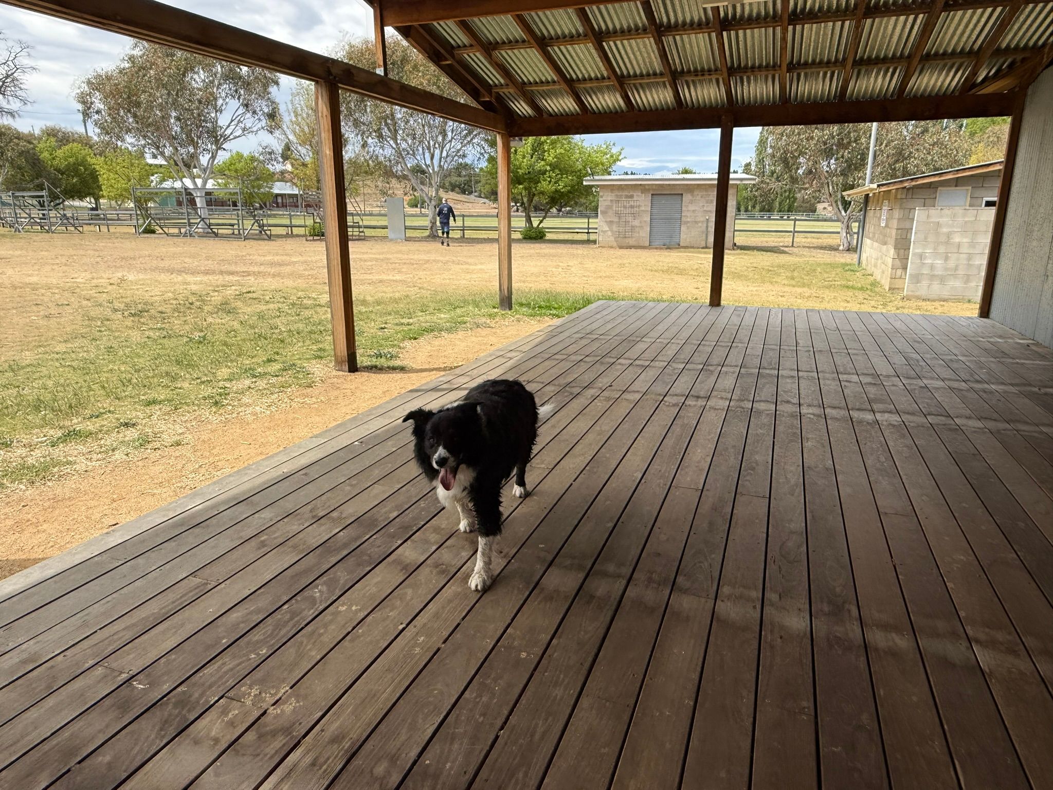 Snowy River Holiday Park