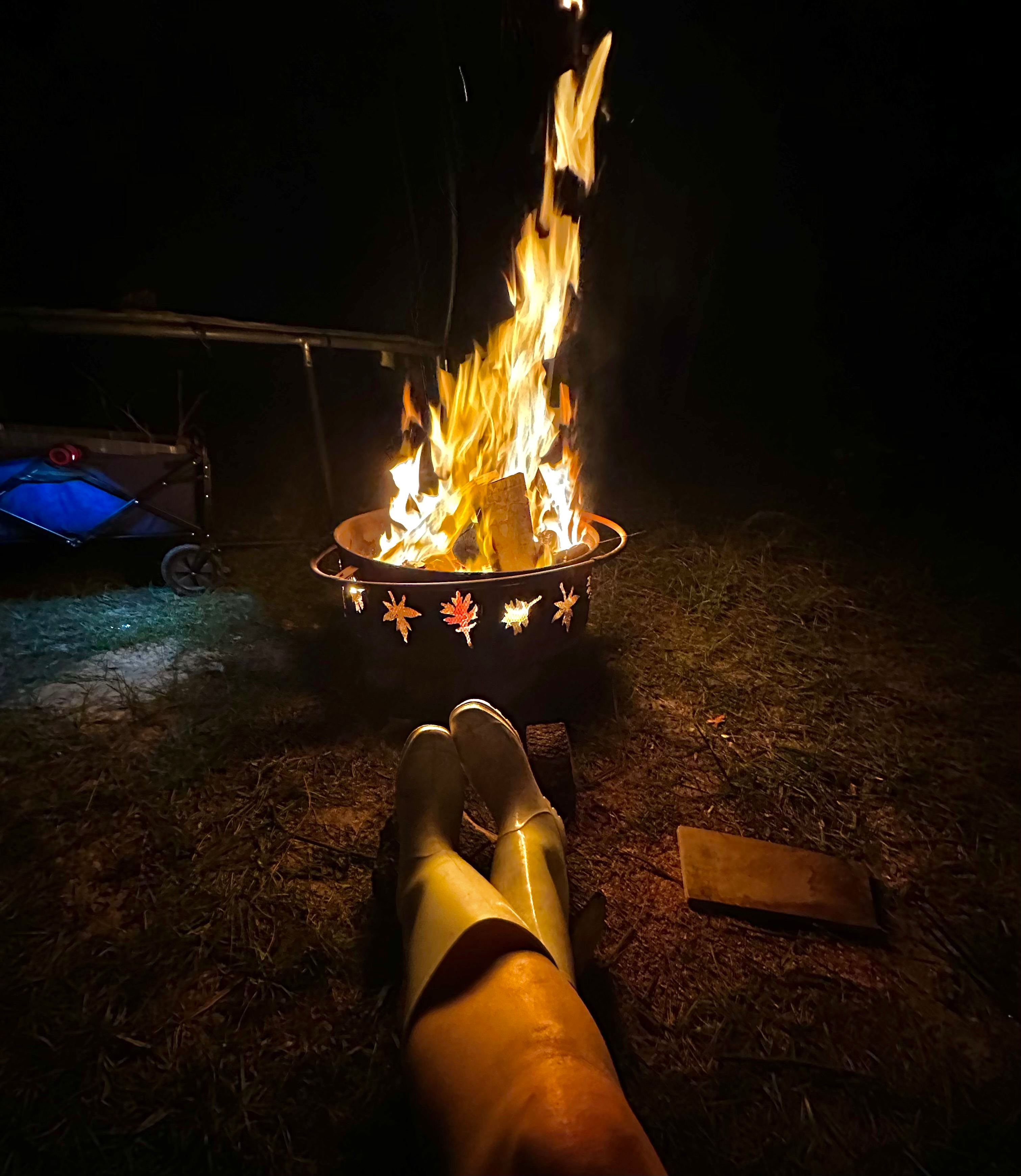 Restoration Ranch Weeki Wacheee