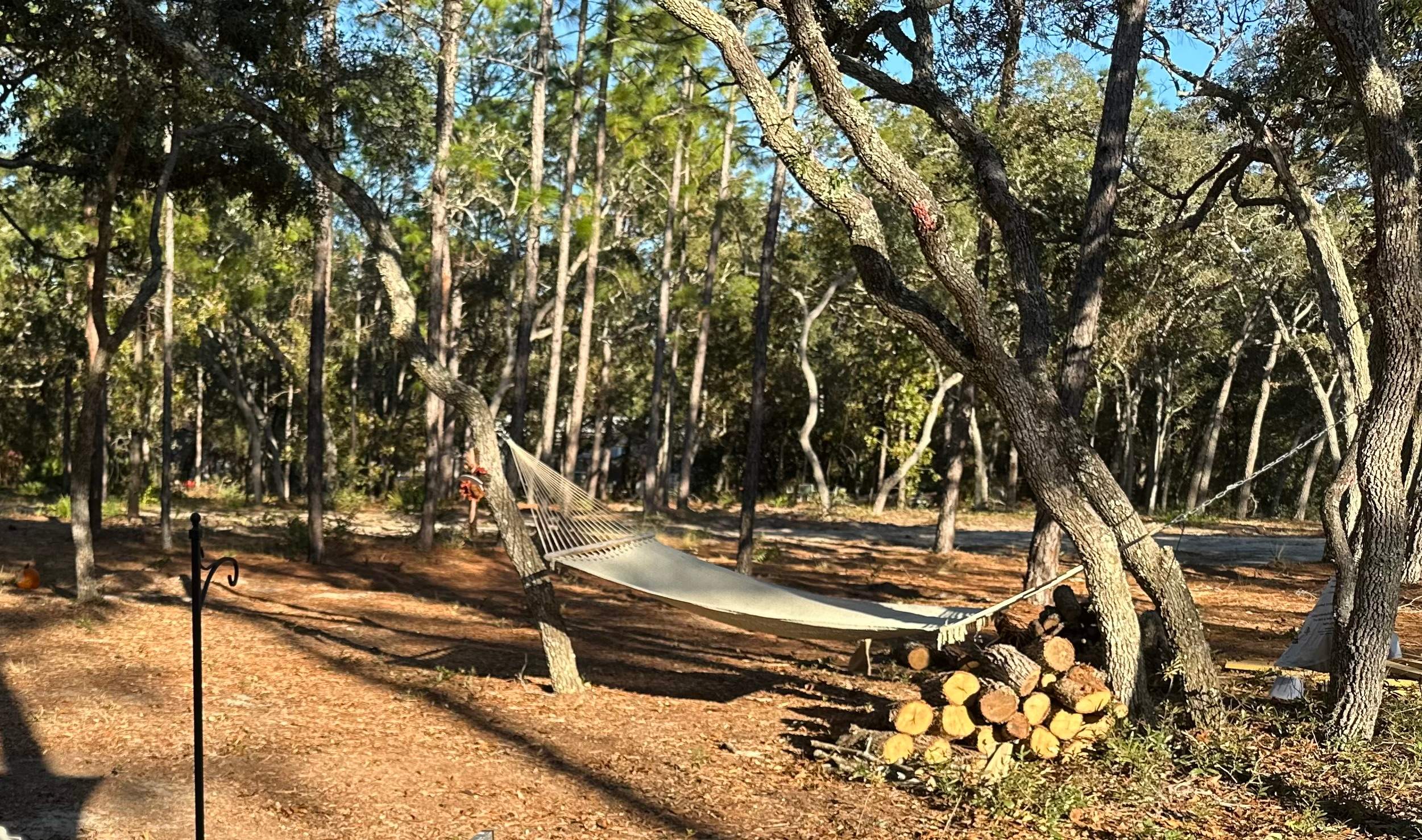 Restoration Ranch Weeki Wacheee