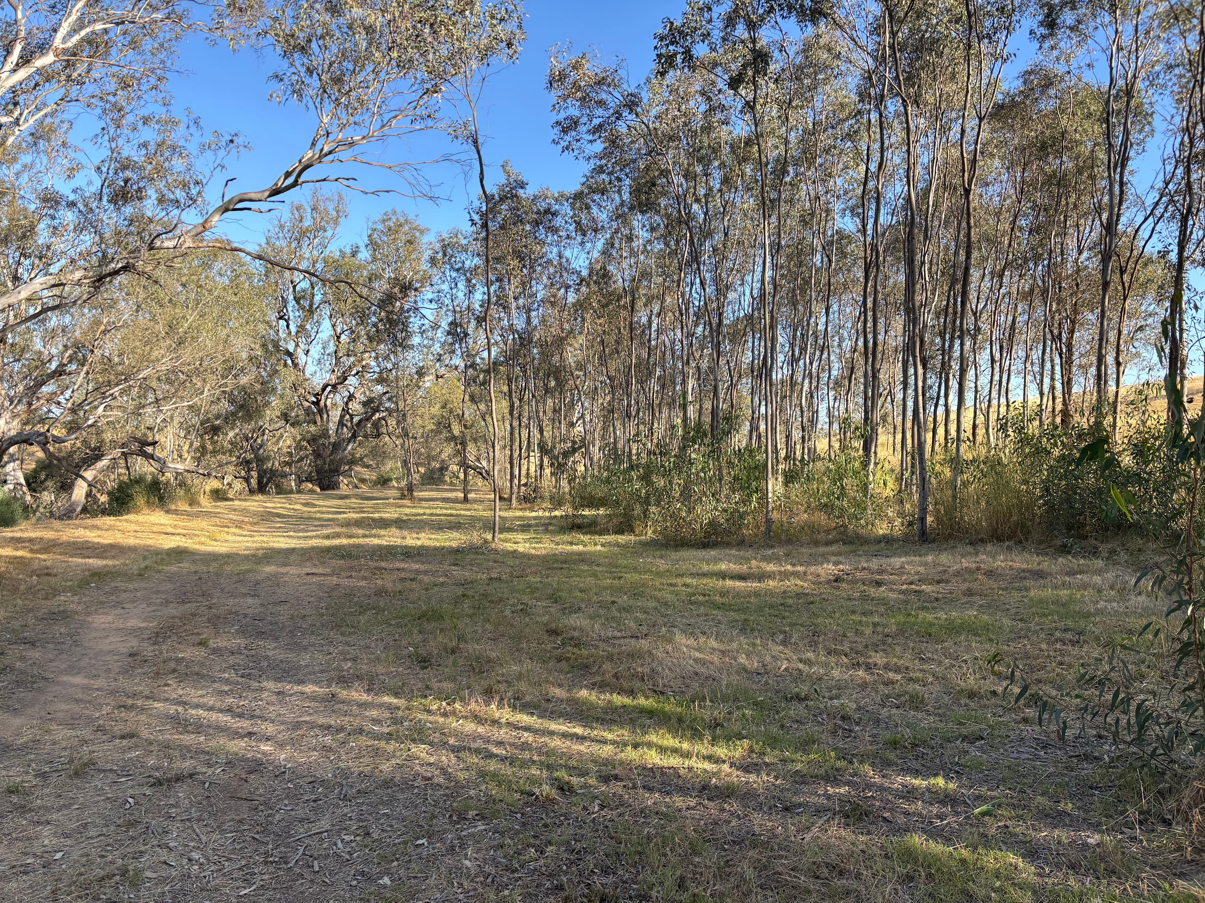 Campaspe Camping