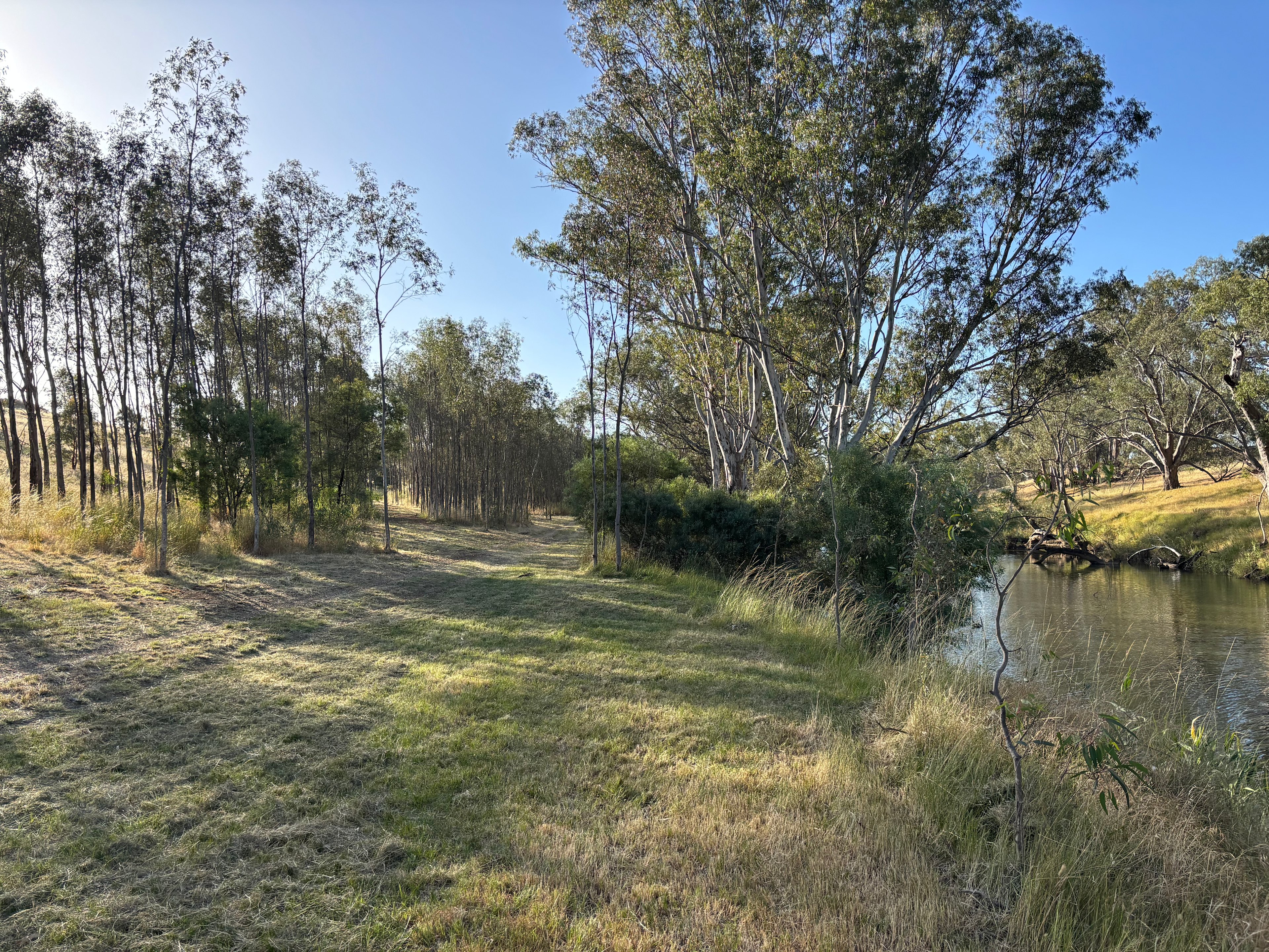 Campaspe Camping