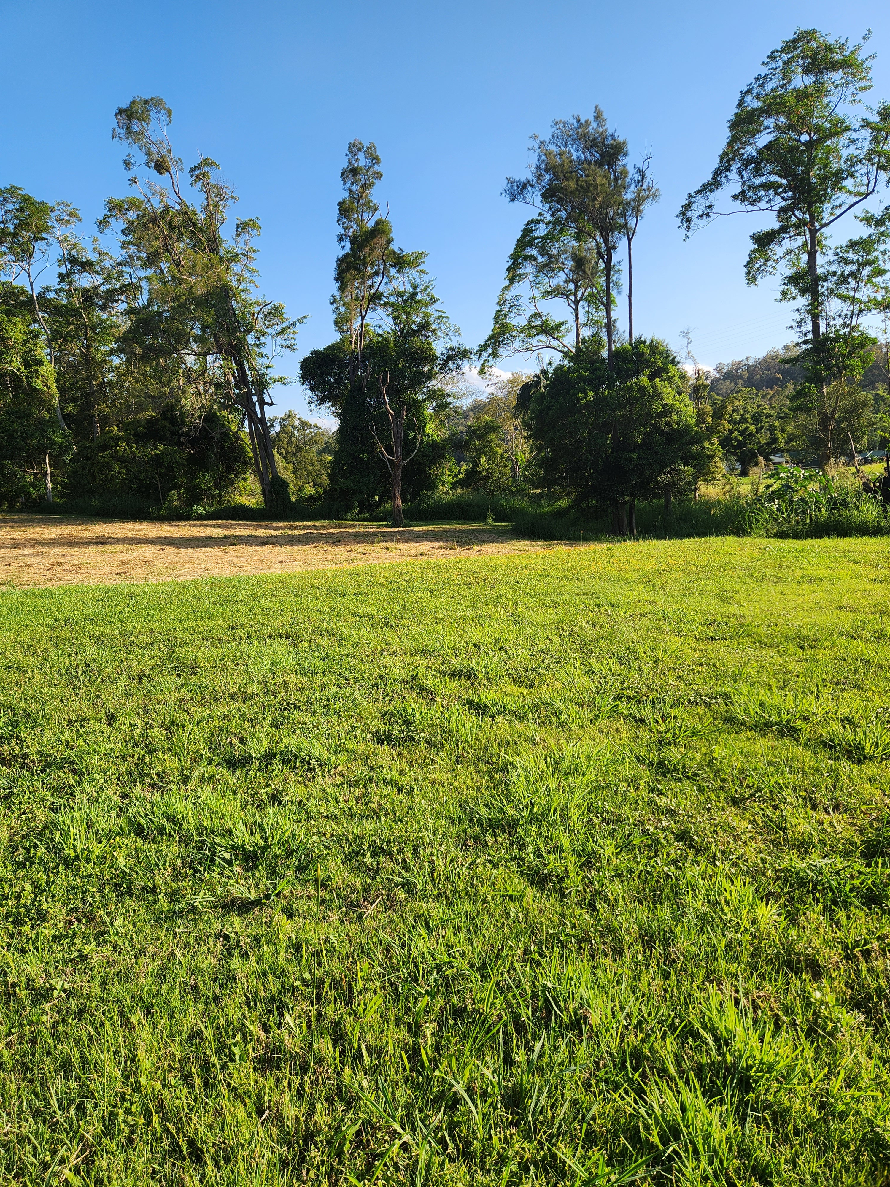 Wongawallan Creek Estate