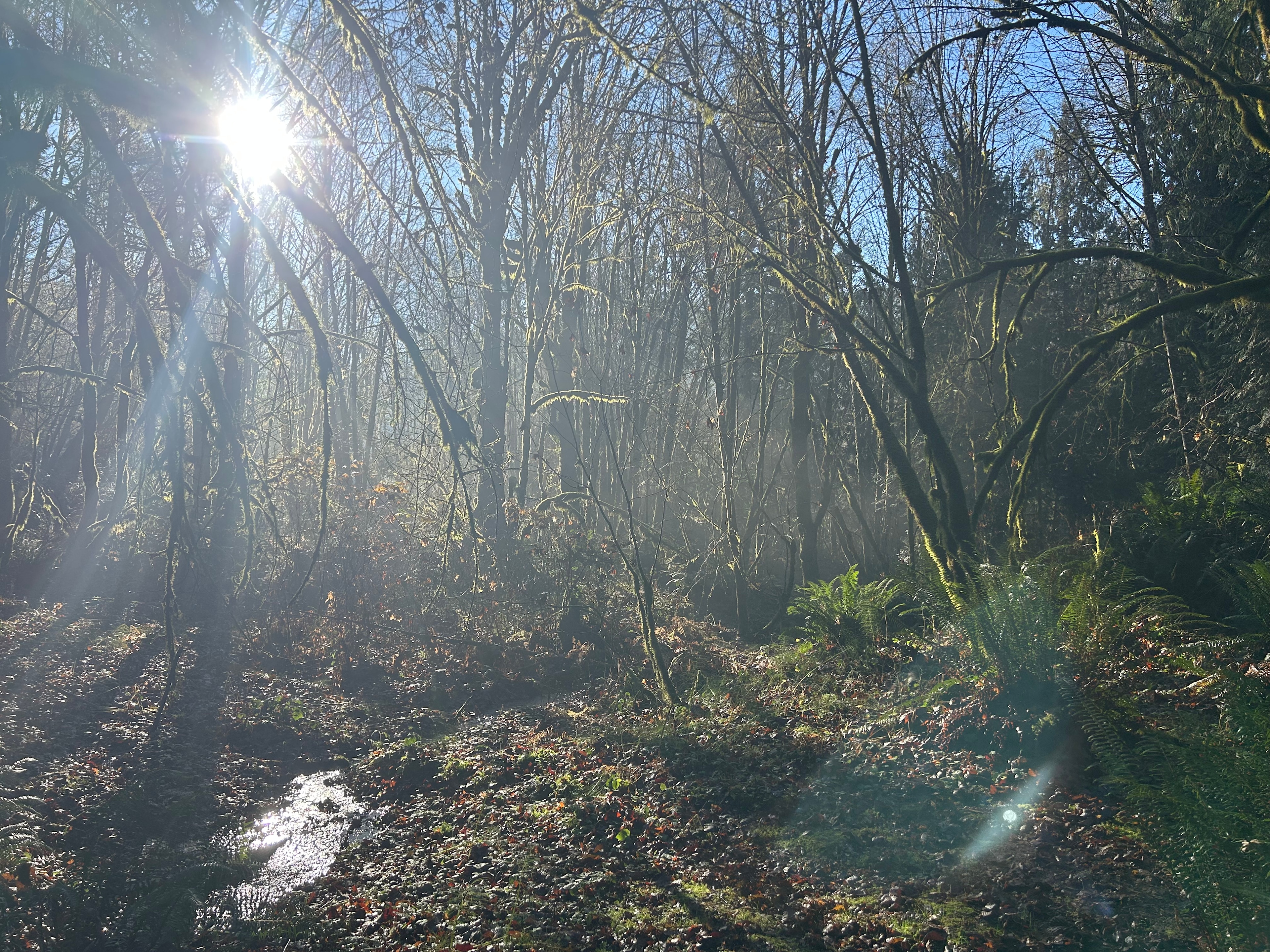 Gorgeous even in the middle of winter 