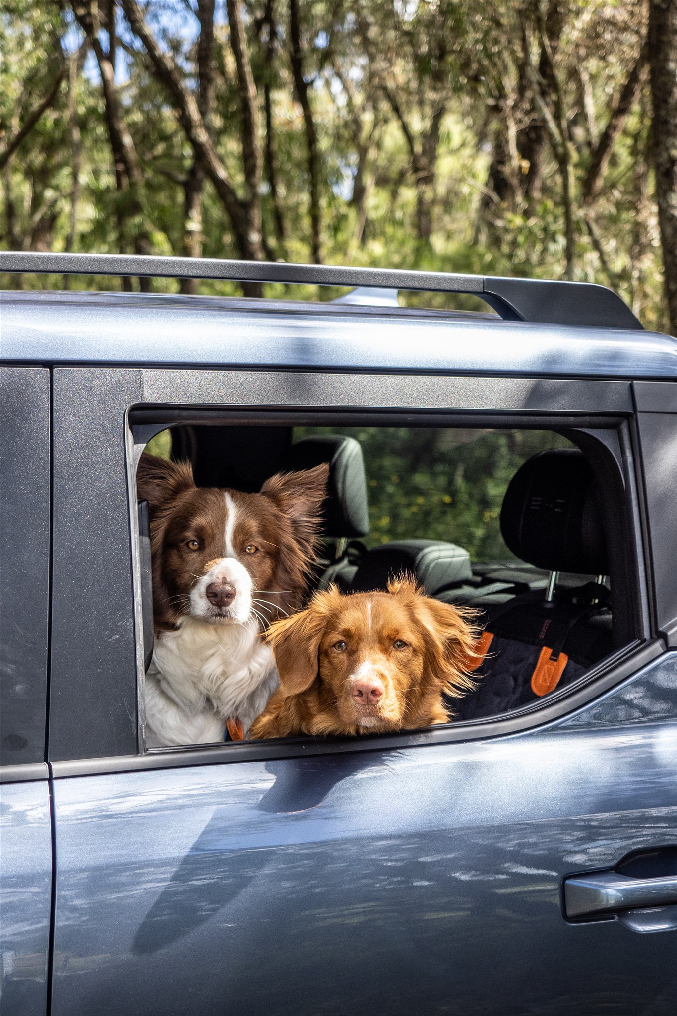 Dunmore Homestead Farmstay