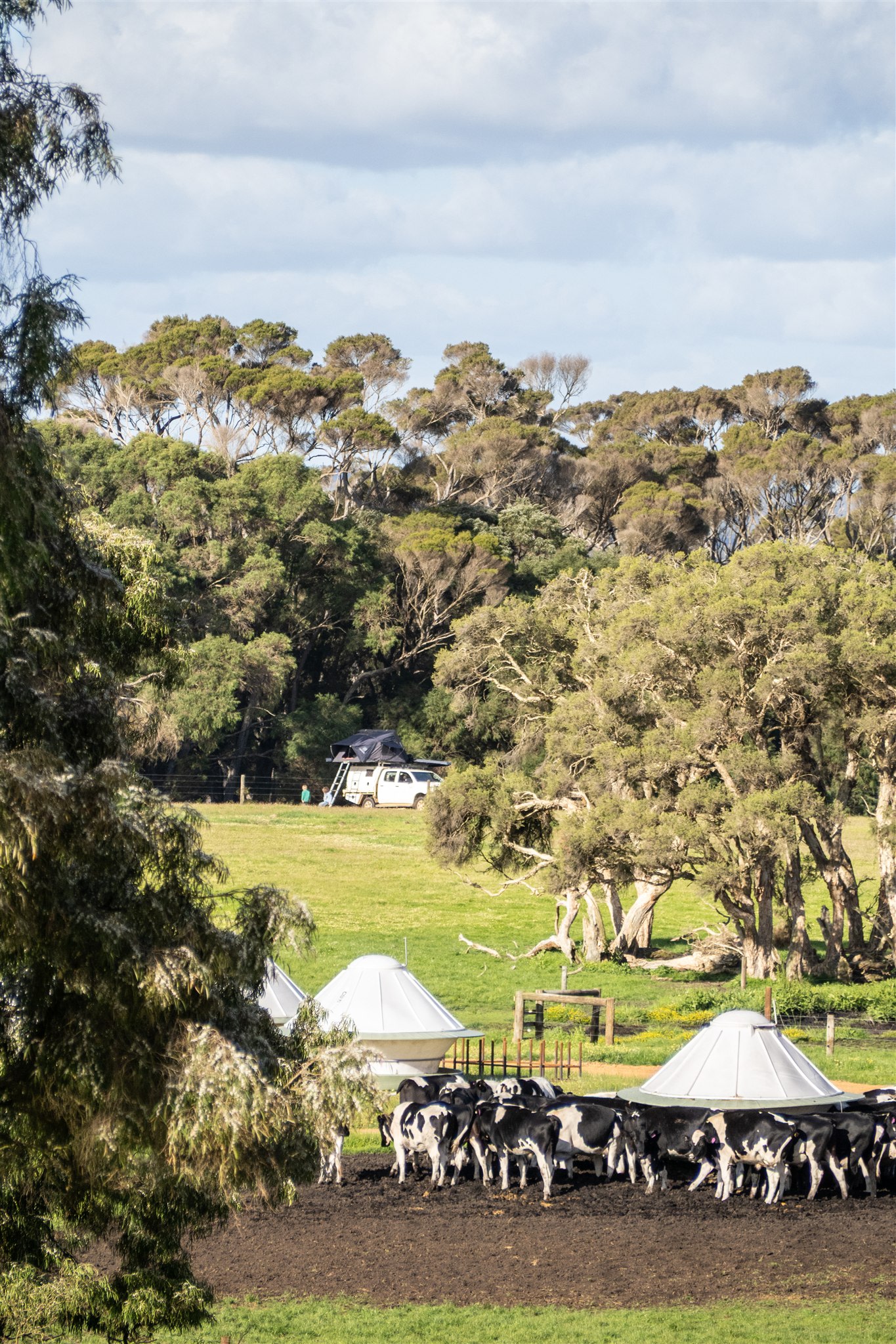 Dunmore Homestead Farmstay