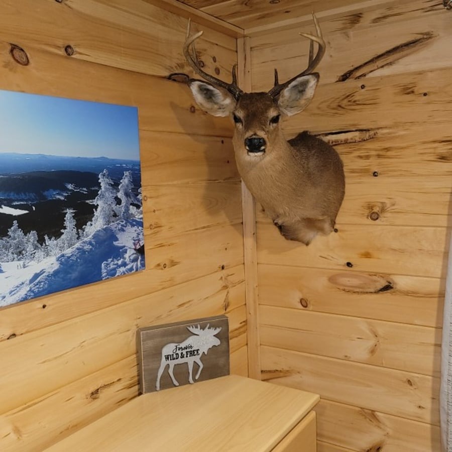 Jackman Landing Campground & Cabins