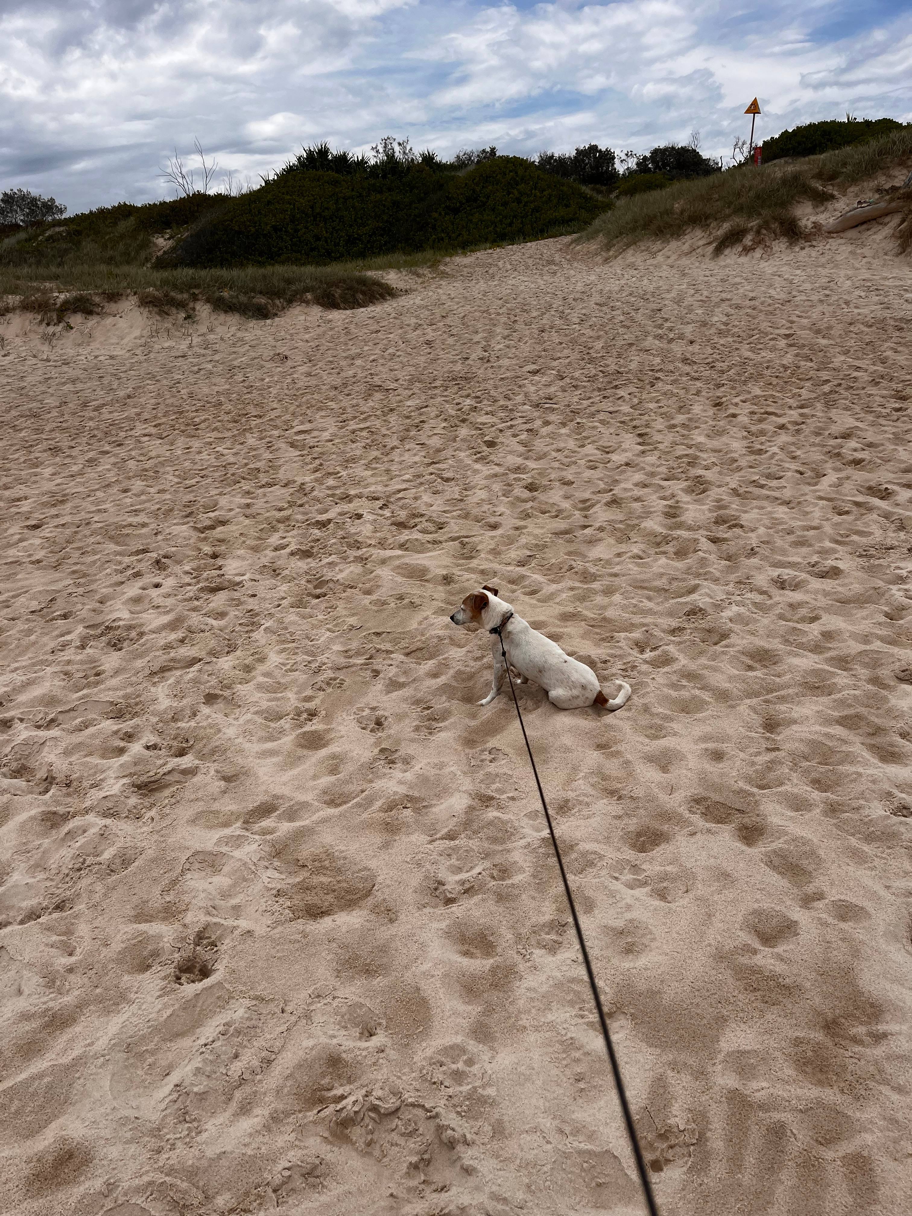 Patches Beach spectacular and quite 