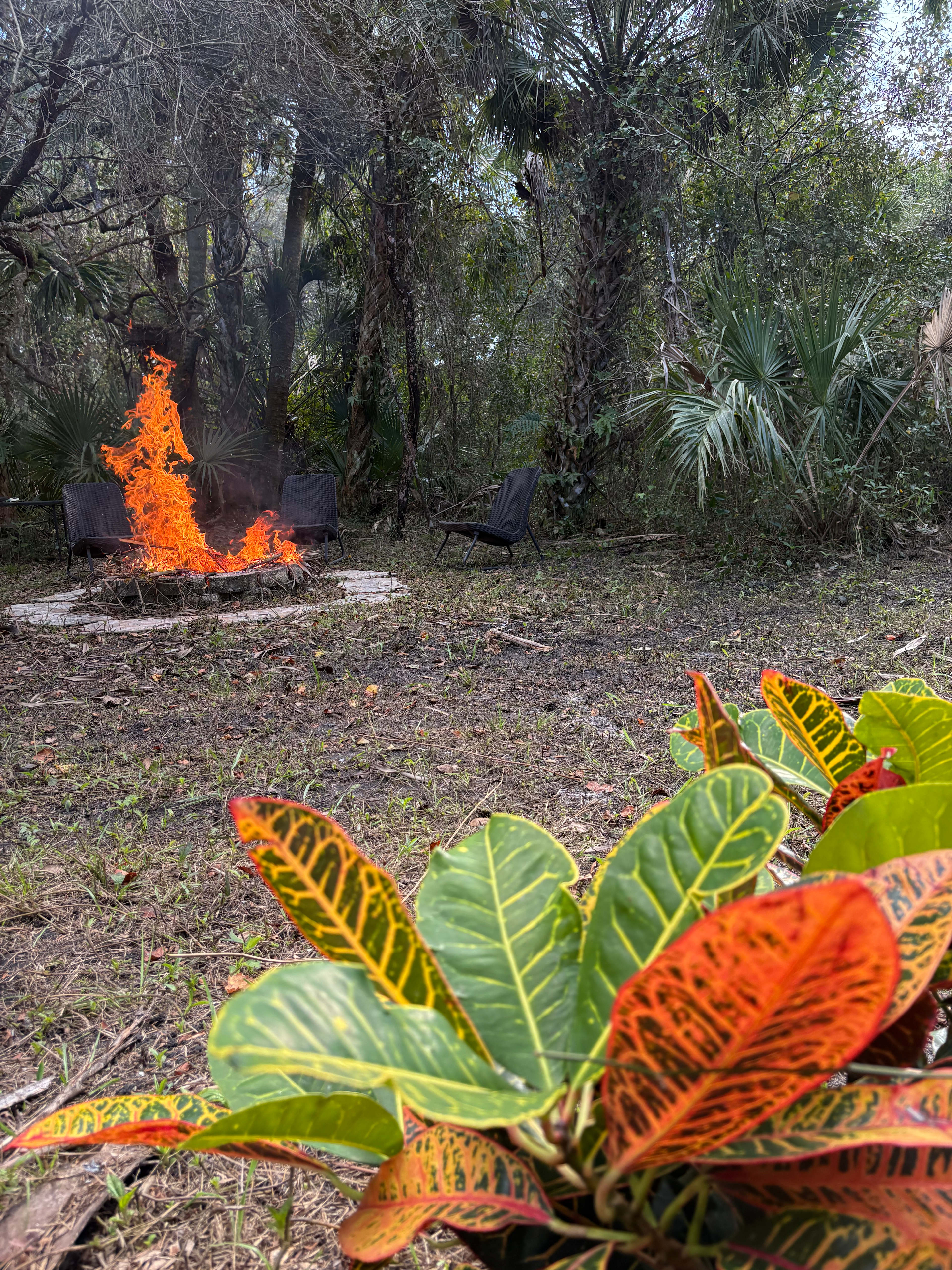 The Four Oaks Getaway