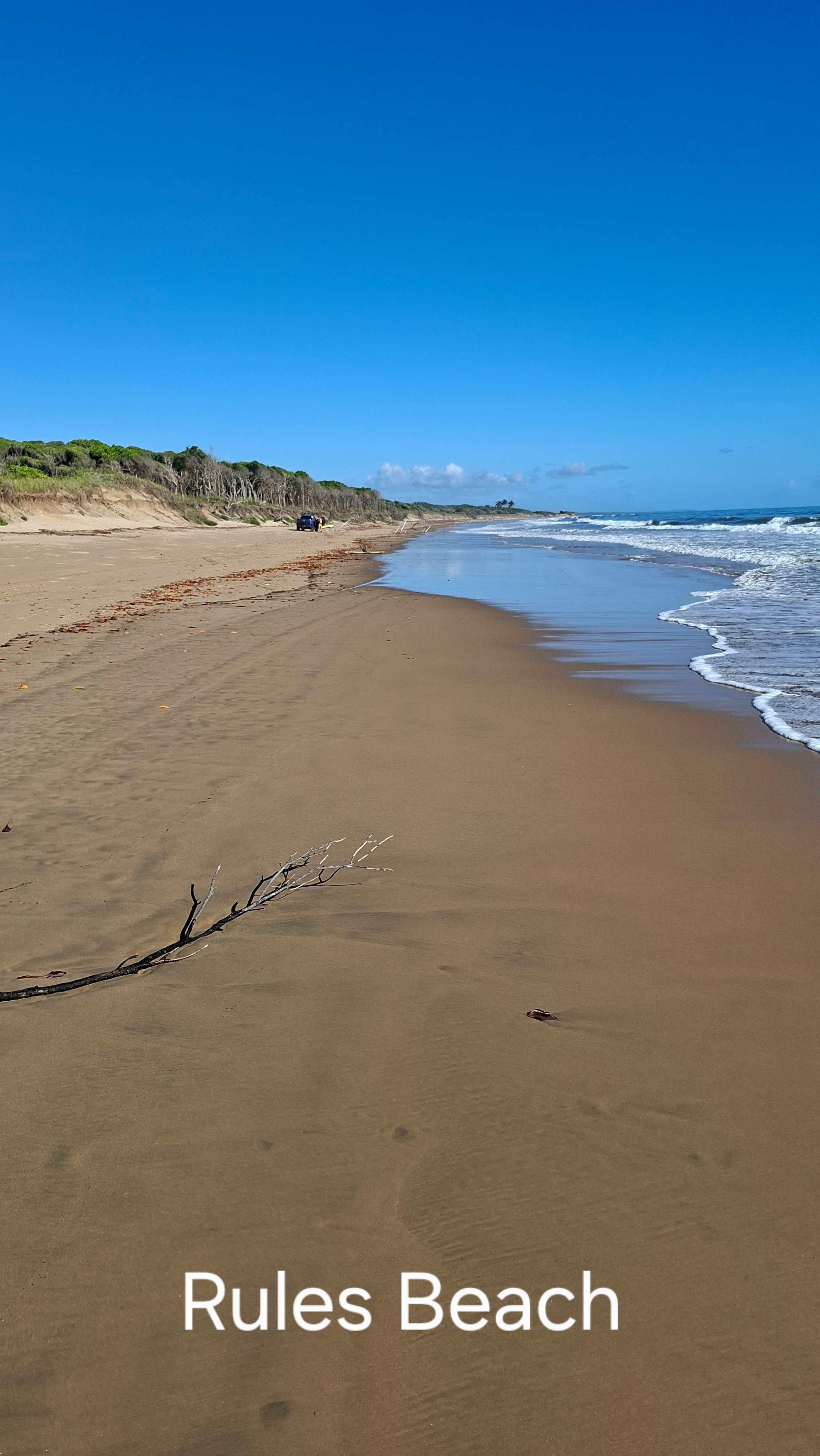 Rules Beach Turtles Bushcamp🐢