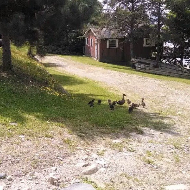 Fountaine Lakeside Cottage