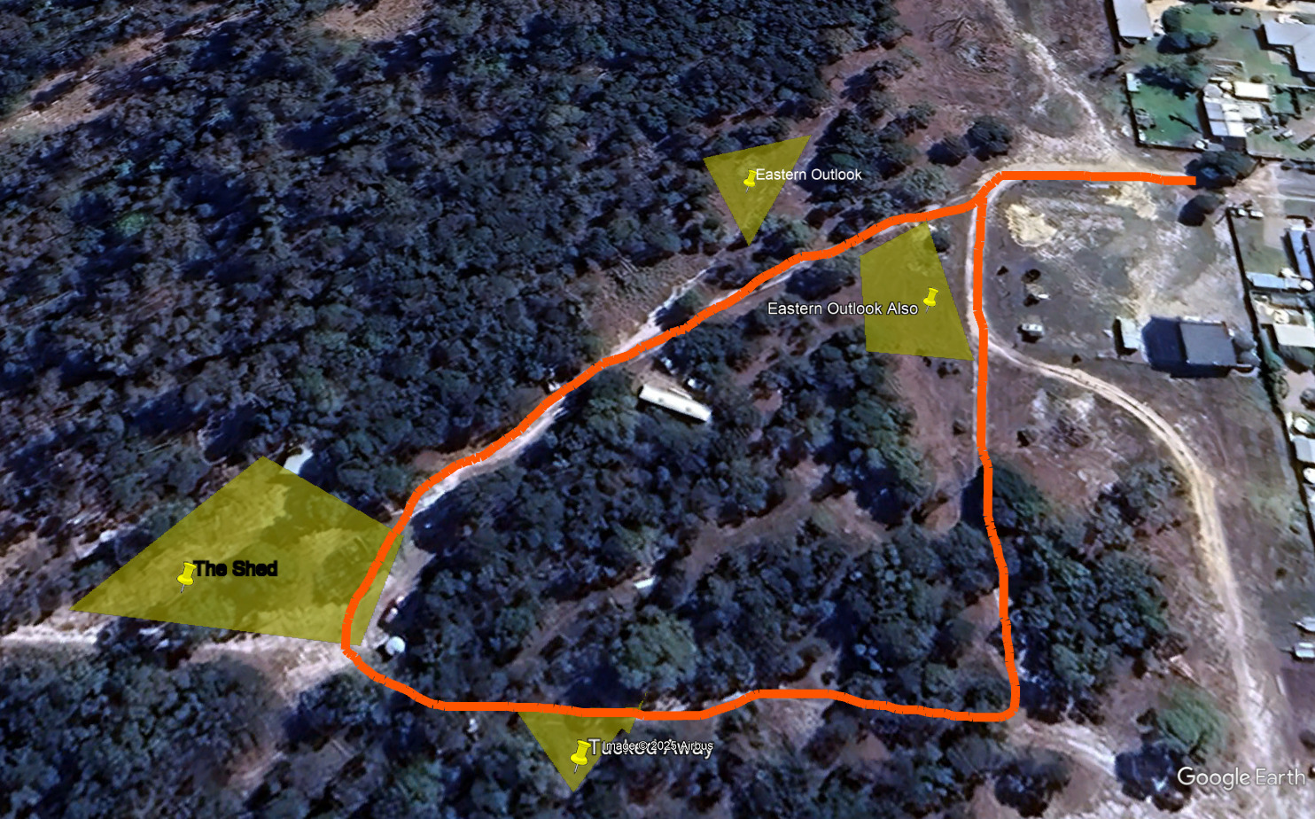 Sheoak Woodland By The Sea