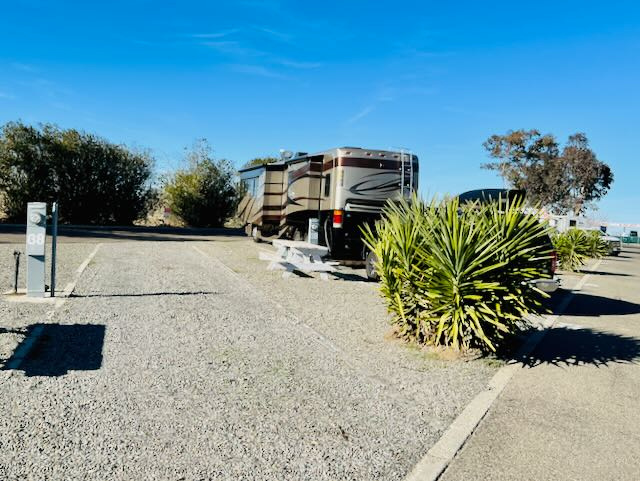 Almond Tree Oasis RV Park